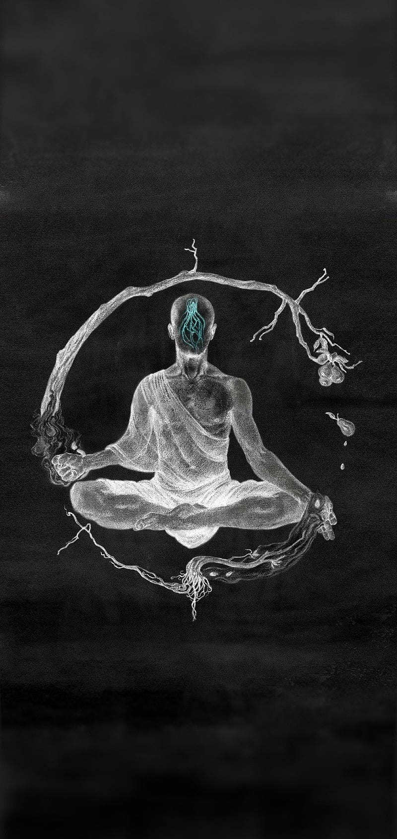 800x1689 HD meditating monk wallpaper