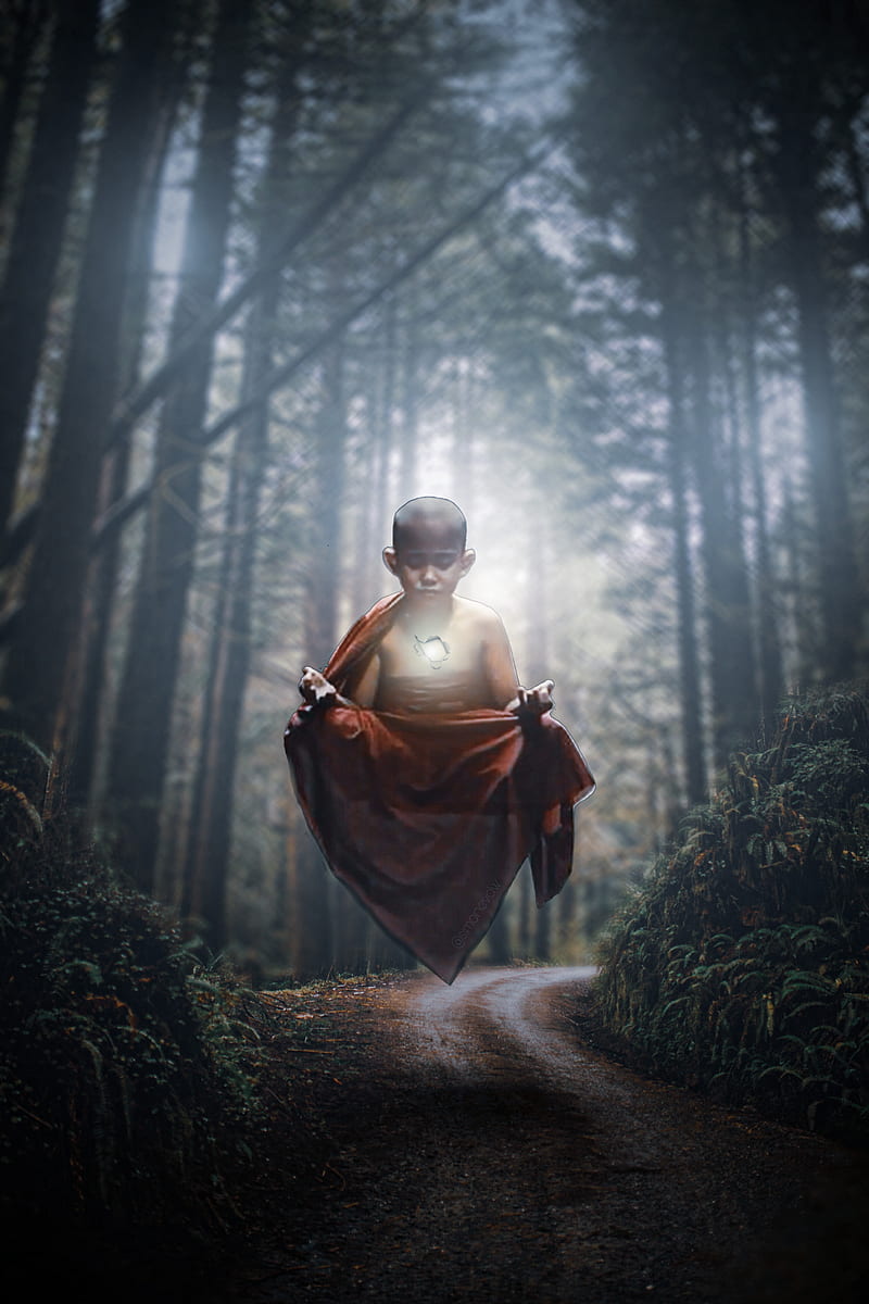 800x1200 Meditation, atmosphere, automotive lighting, surreal, forest, nature, monk, HD phone wallpaper