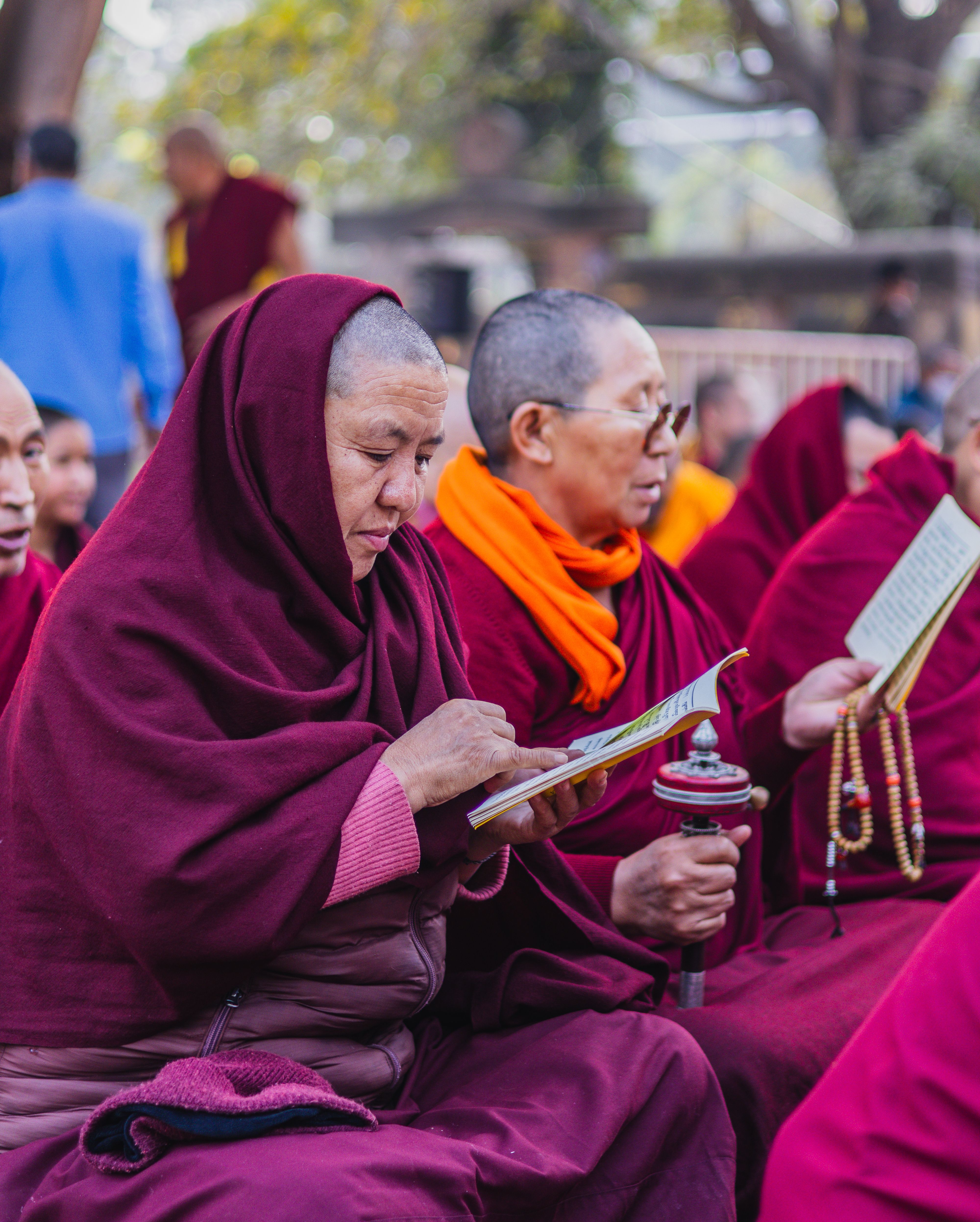 4000x4987 Buddhist Monks in Deep Meditation and Study · Free