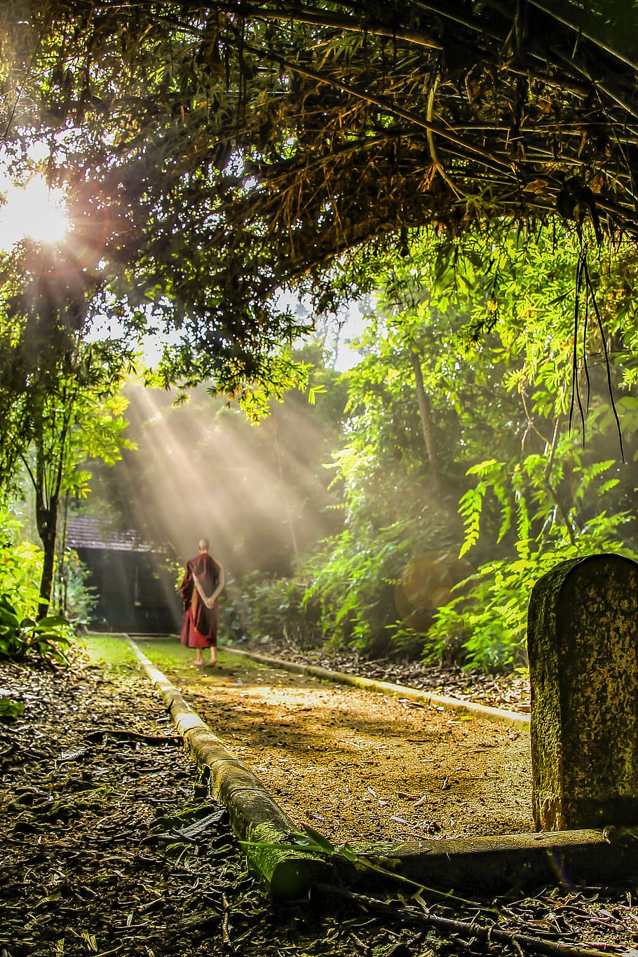 910x1365 Walking meditation 1080P, 2K, 4K, 5K HD wallpaper free download