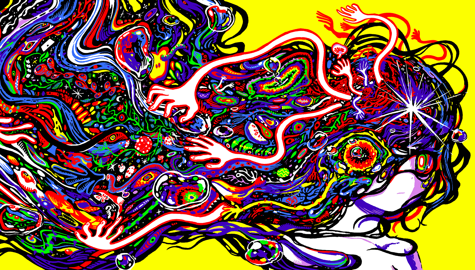 2000x1137 — OMOCAT