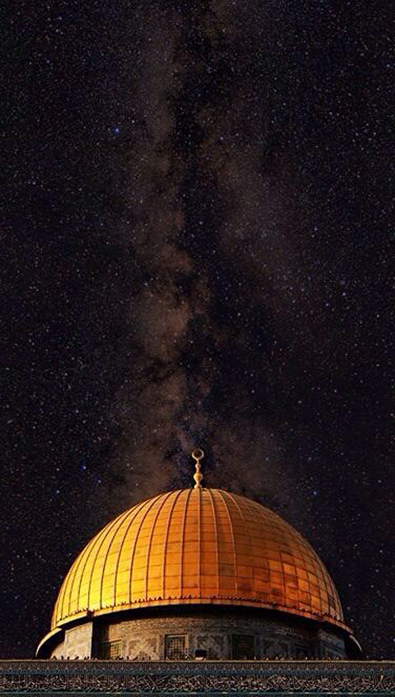 800x1411 Jerusalem Palestine, arab, islam, HD phone wallpaper