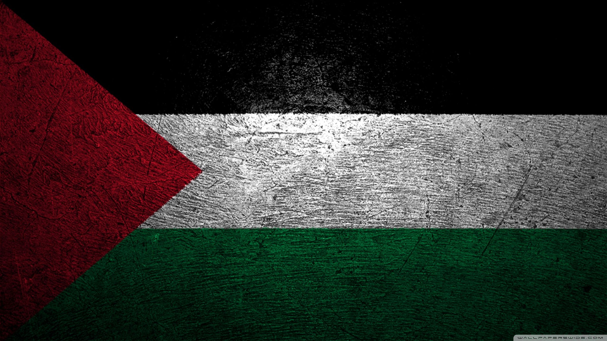 2560x1440 Palestine Flag 4K UHD Wallpaper for UltraHD Desktop and TV