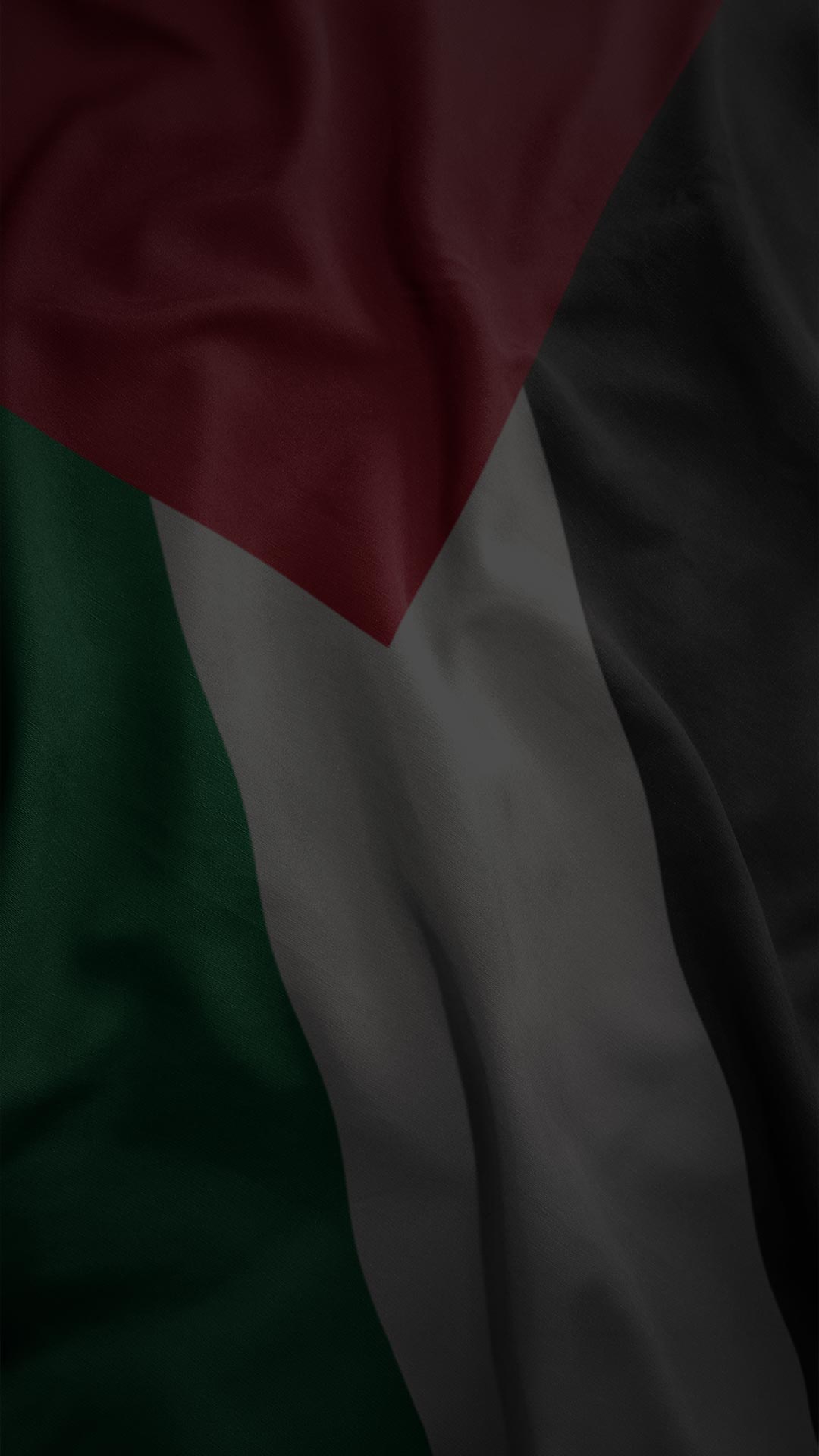 1080x1920 The AFRP Federation of Ramallah, Palestine