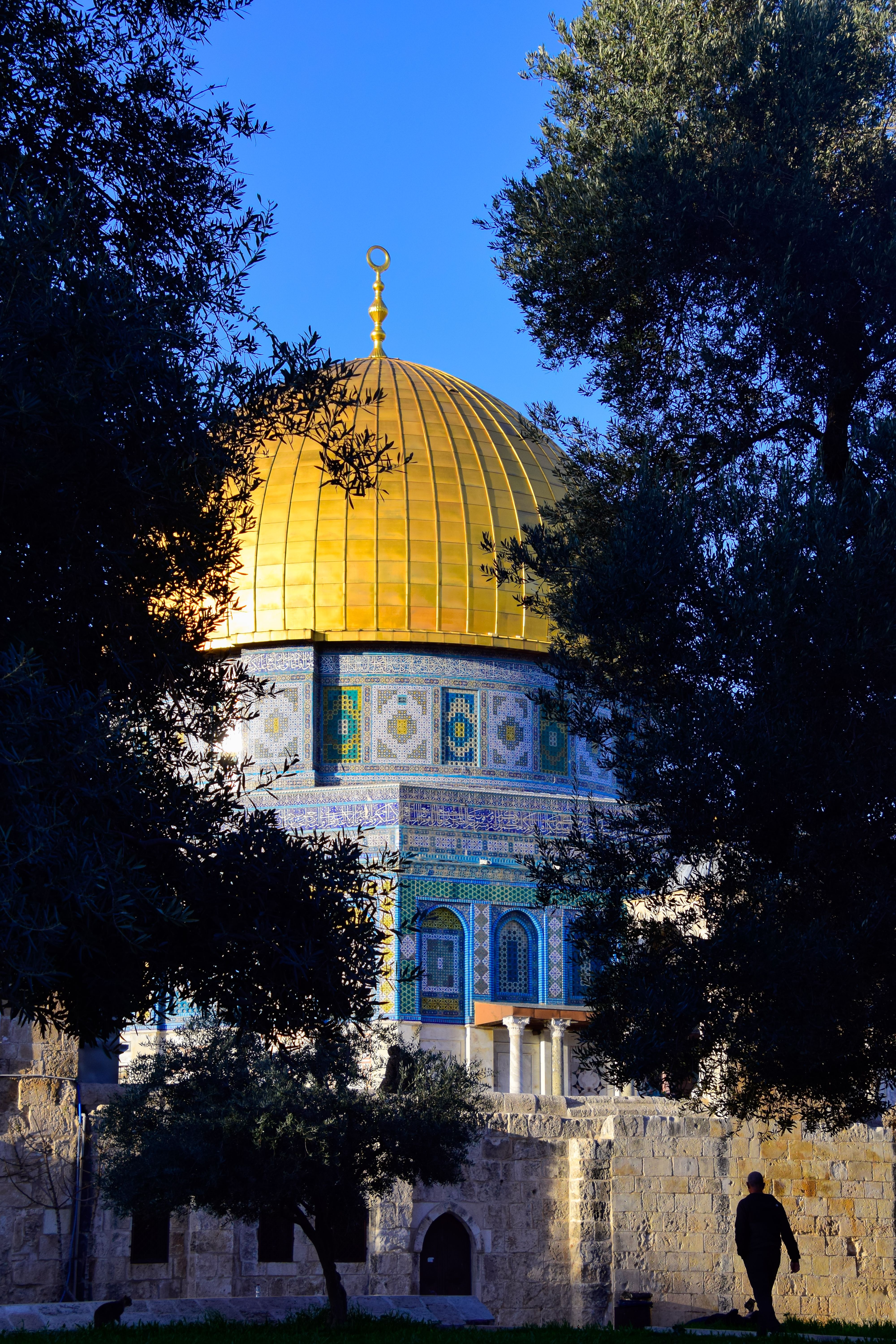 4000x6000 Israel Palestine Photo, Download The BEST Free Israel Palestine & HD Image