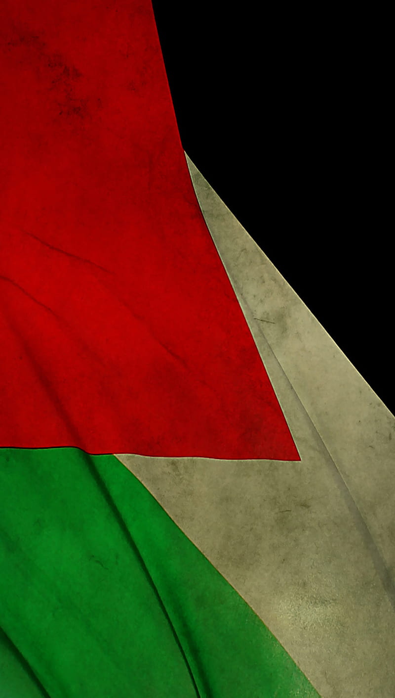 800x1411 720P free download. Palestine Flag, arab, flags, HD phone wallpaper