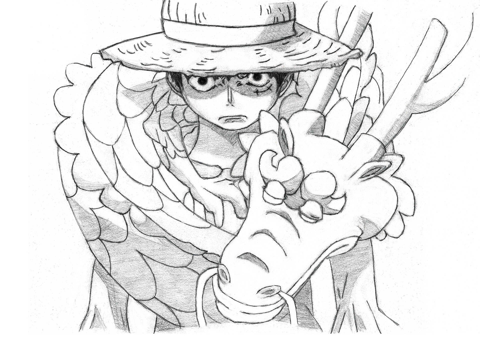 1920x1375 Download One Piece Anime Drawing Wallpaper