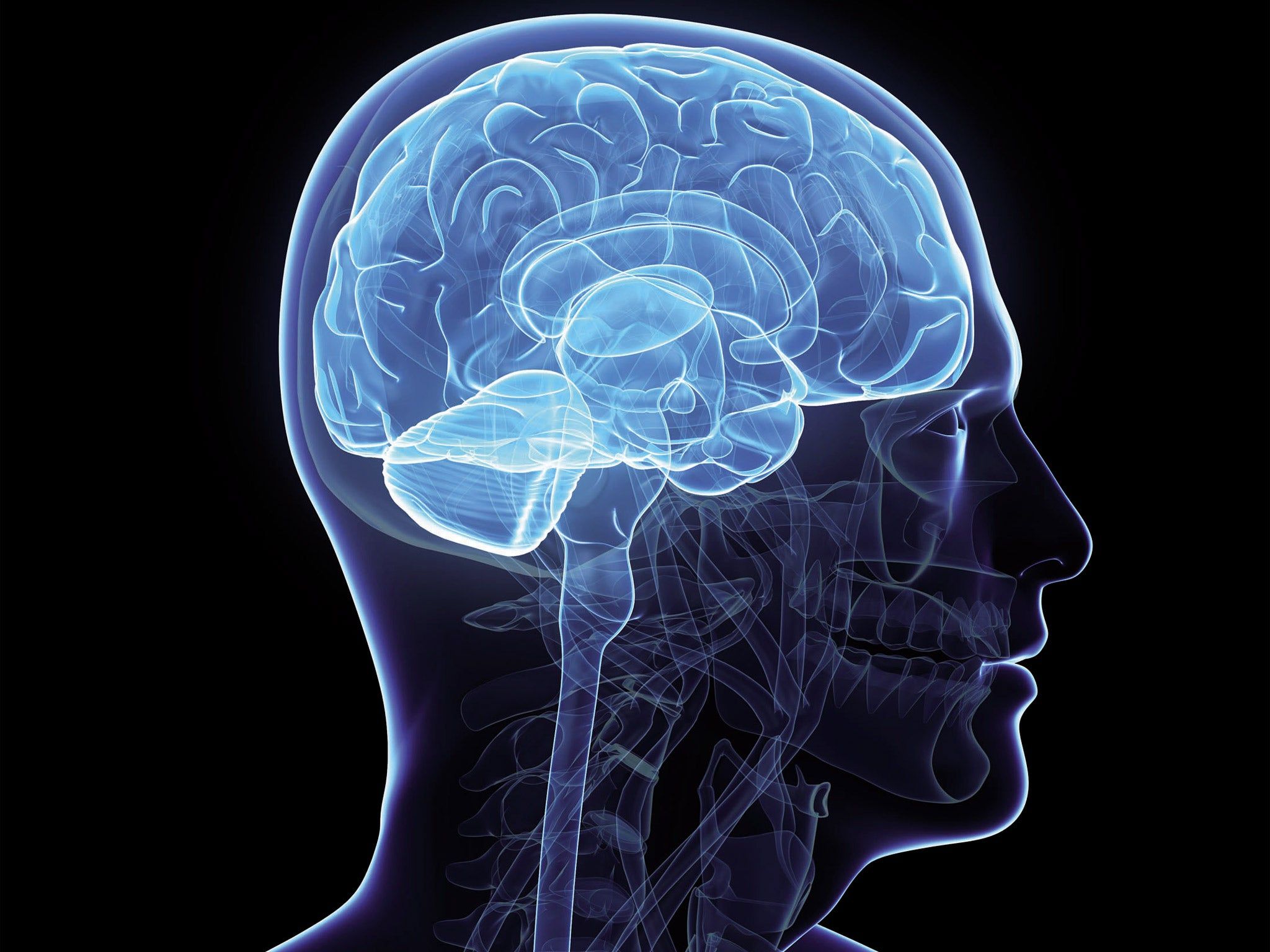 2048x1536 Healthy mind in healthy body: lifelong exercise keeps the brain working better