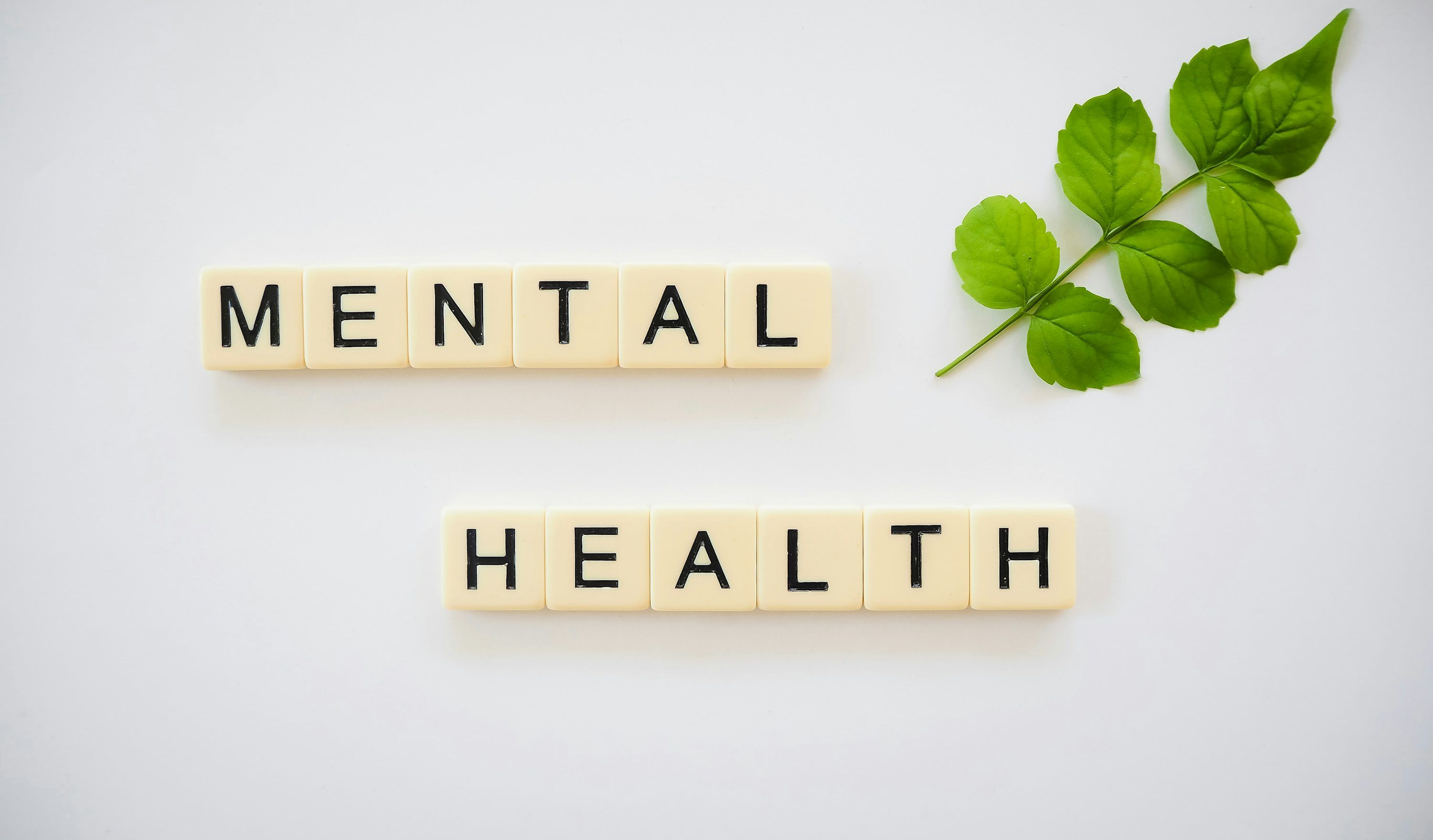 3000x1759 Healthy Mind Picture. Download Free Image