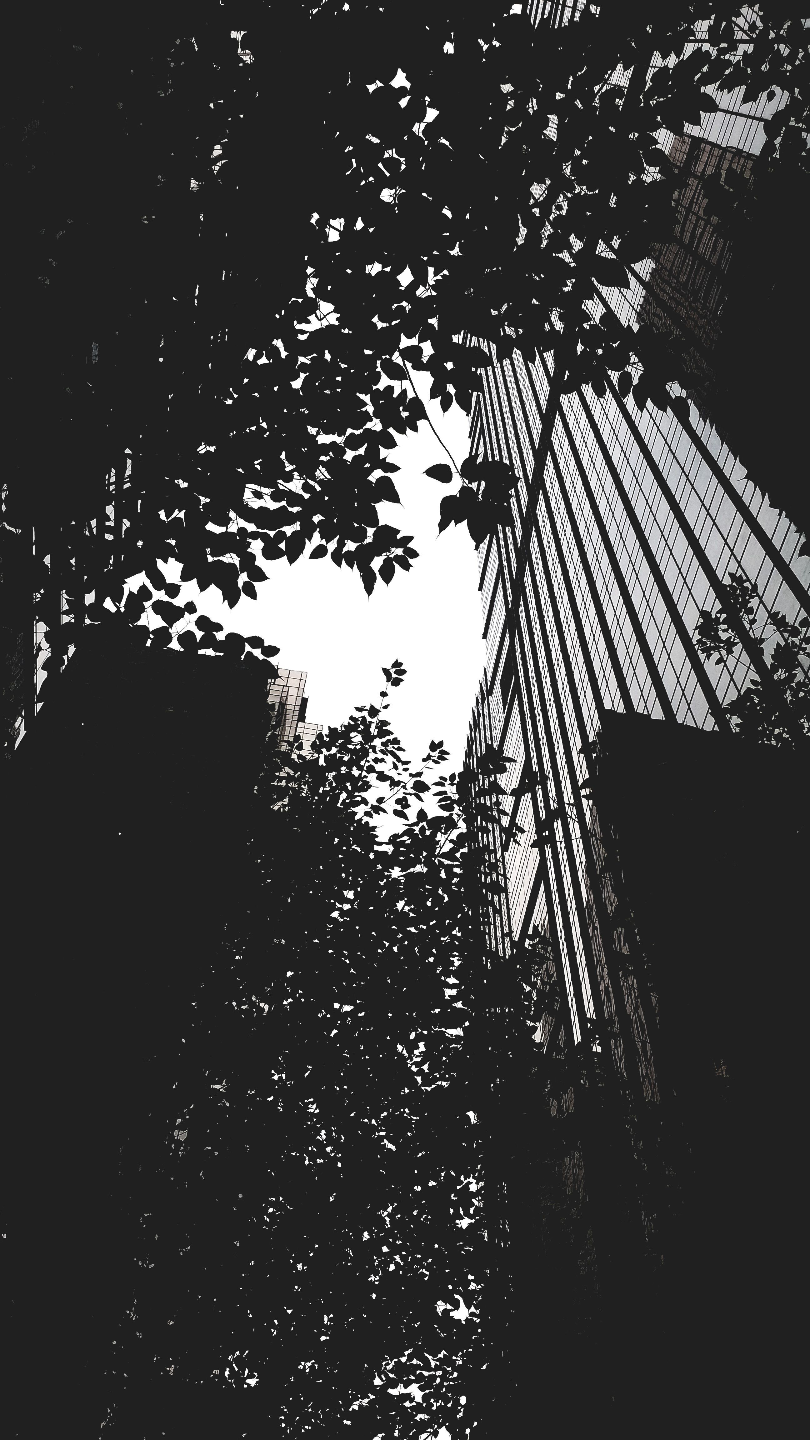 2592x4608 Monochrome Aesthetic Photo, Download The BEST Free Monochrome Aesthetic & HD Image