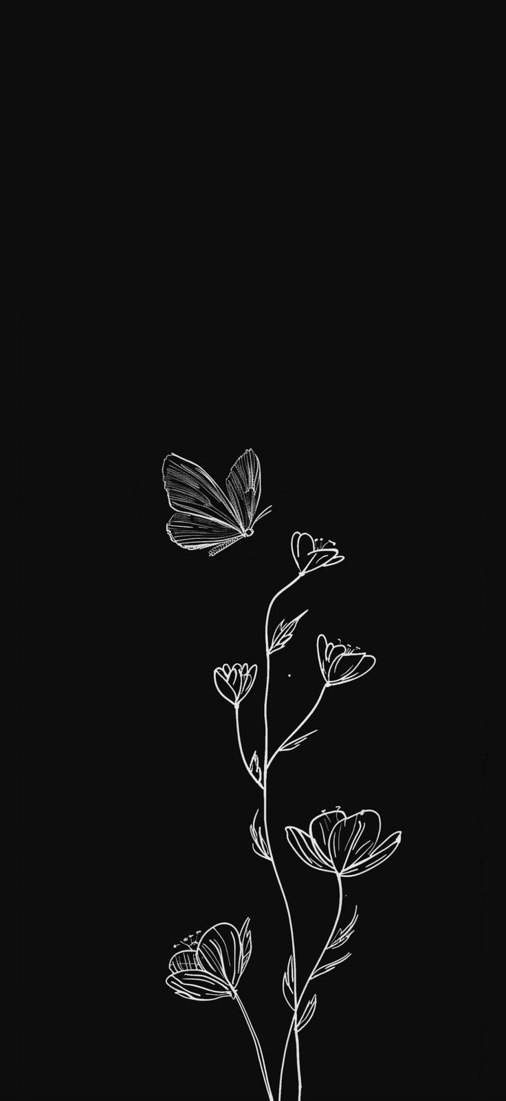 736x1599 Lock screen wallpaper 4k aesthetic. iPhone wallpaper vintage dark, Black base wallpaper, Black wallpaper butterfly