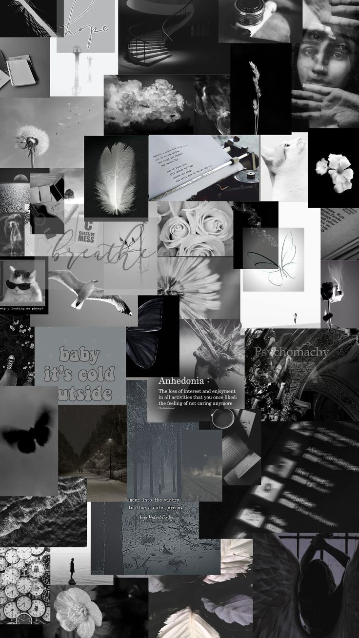 736x1308 Monochrome Aesthetic Wallpaper