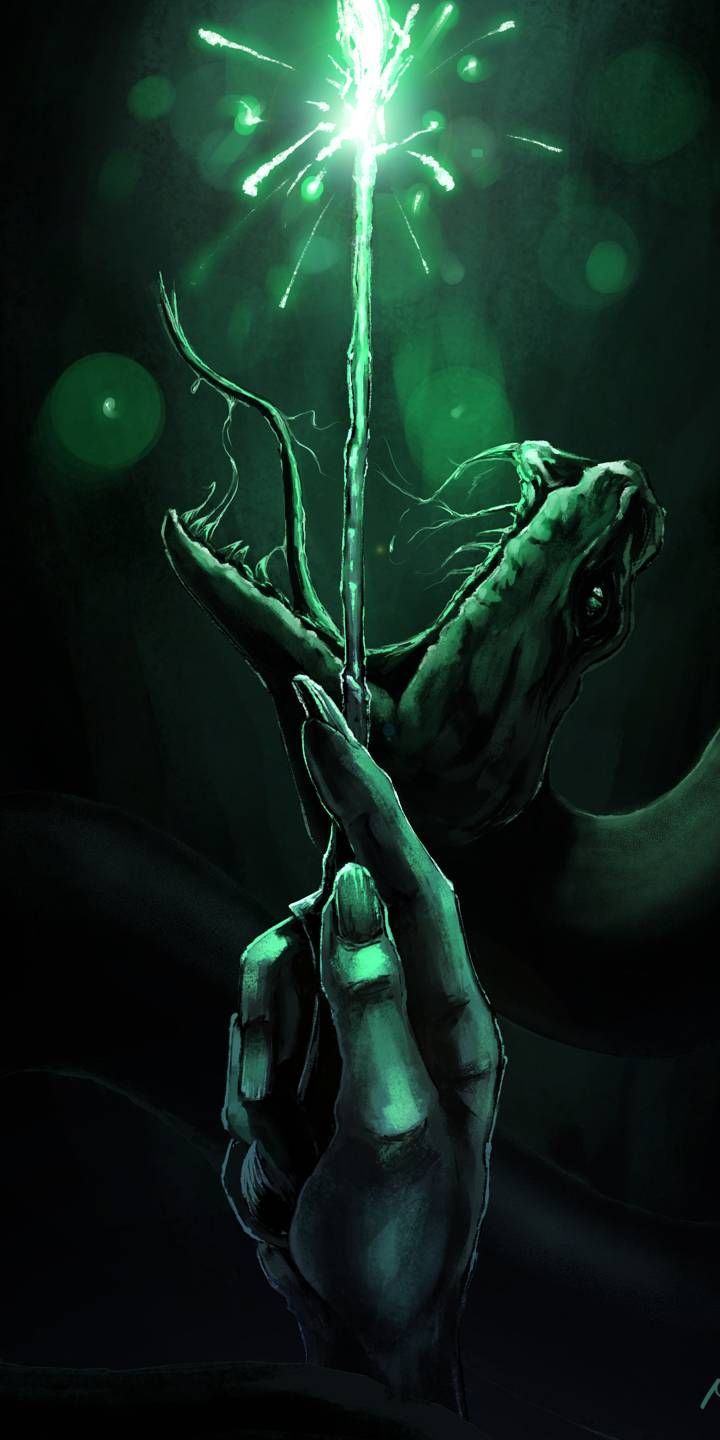 720x1440 Lord Voldemort And Harry Potter Wallpaper And Photo Collection