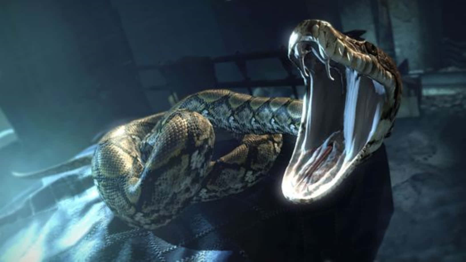 1632x917 Download Nagini, Voldemort's Enigmatic Snake Companion in Harry Potter Wallpaper