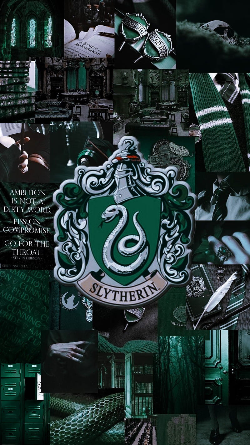 800x1422 HARRY POTTER, dark green, flag, magic, netflix, series, snake, HD phone wallpaper