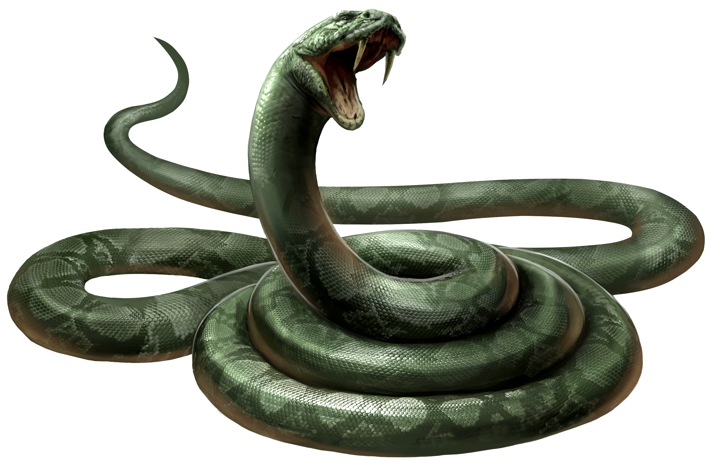 2750x1800 Nagini