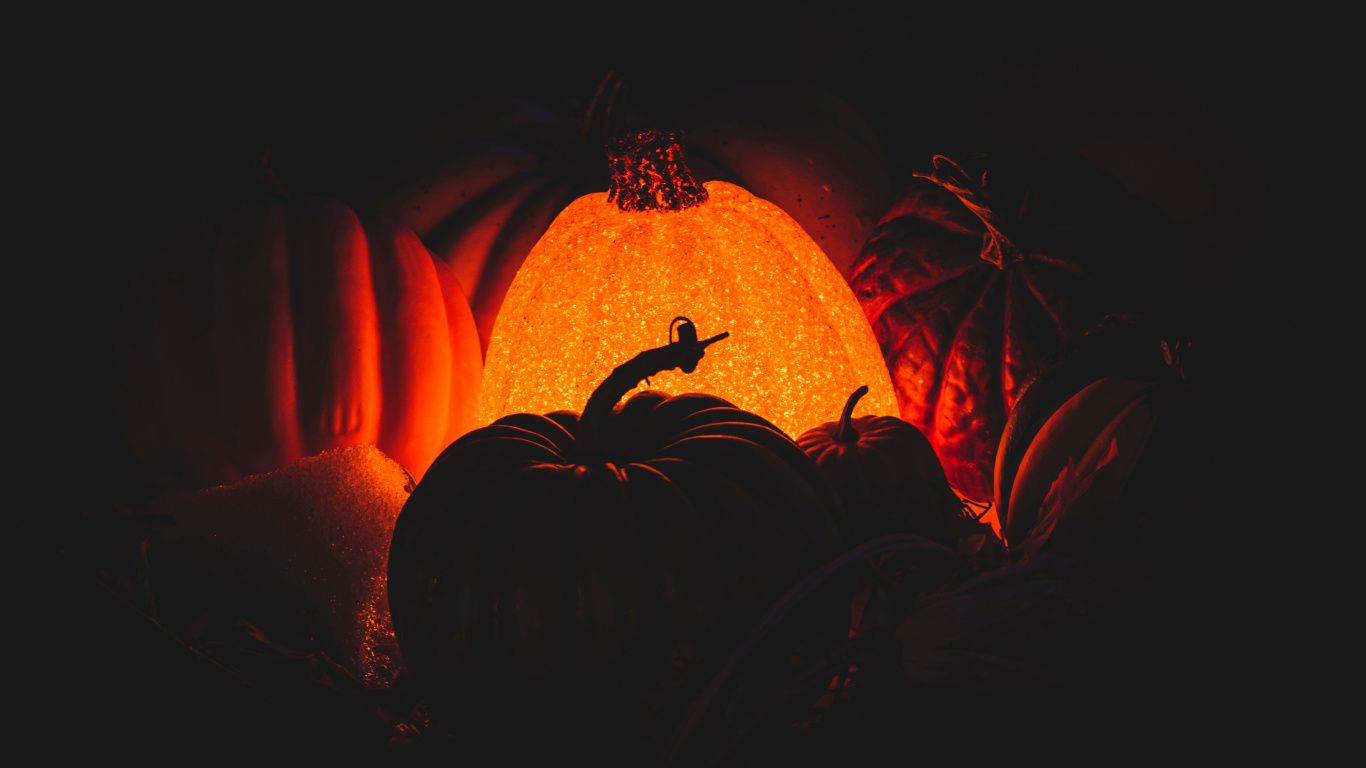 1366x768 Laptop Pumpkin Wallpaper Free 1366x768 High Quality Background