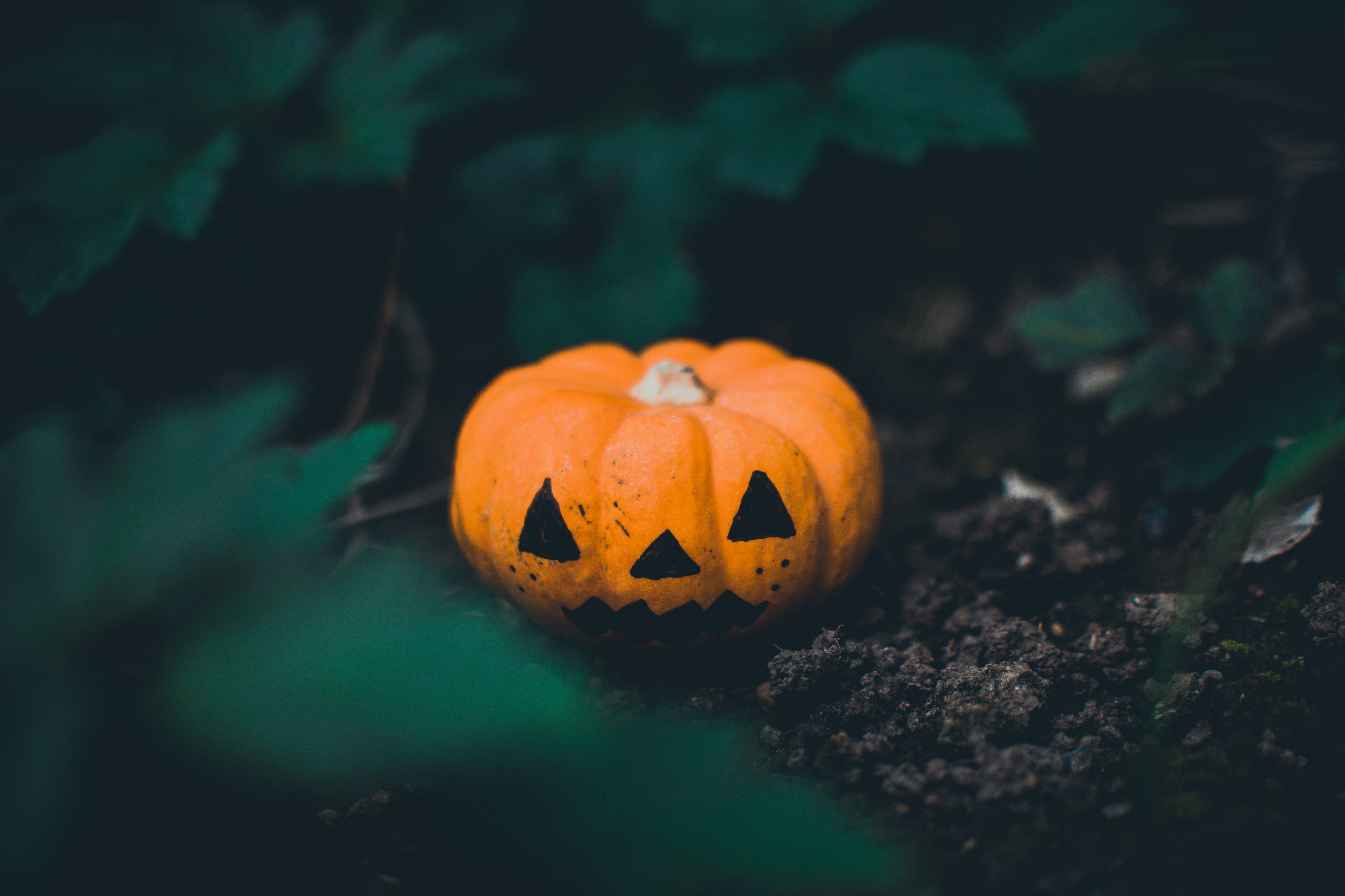 6000x4000 Halloween Wallpaper Photo, Download The BEST Free Halloween Wallpaper & HD Image
