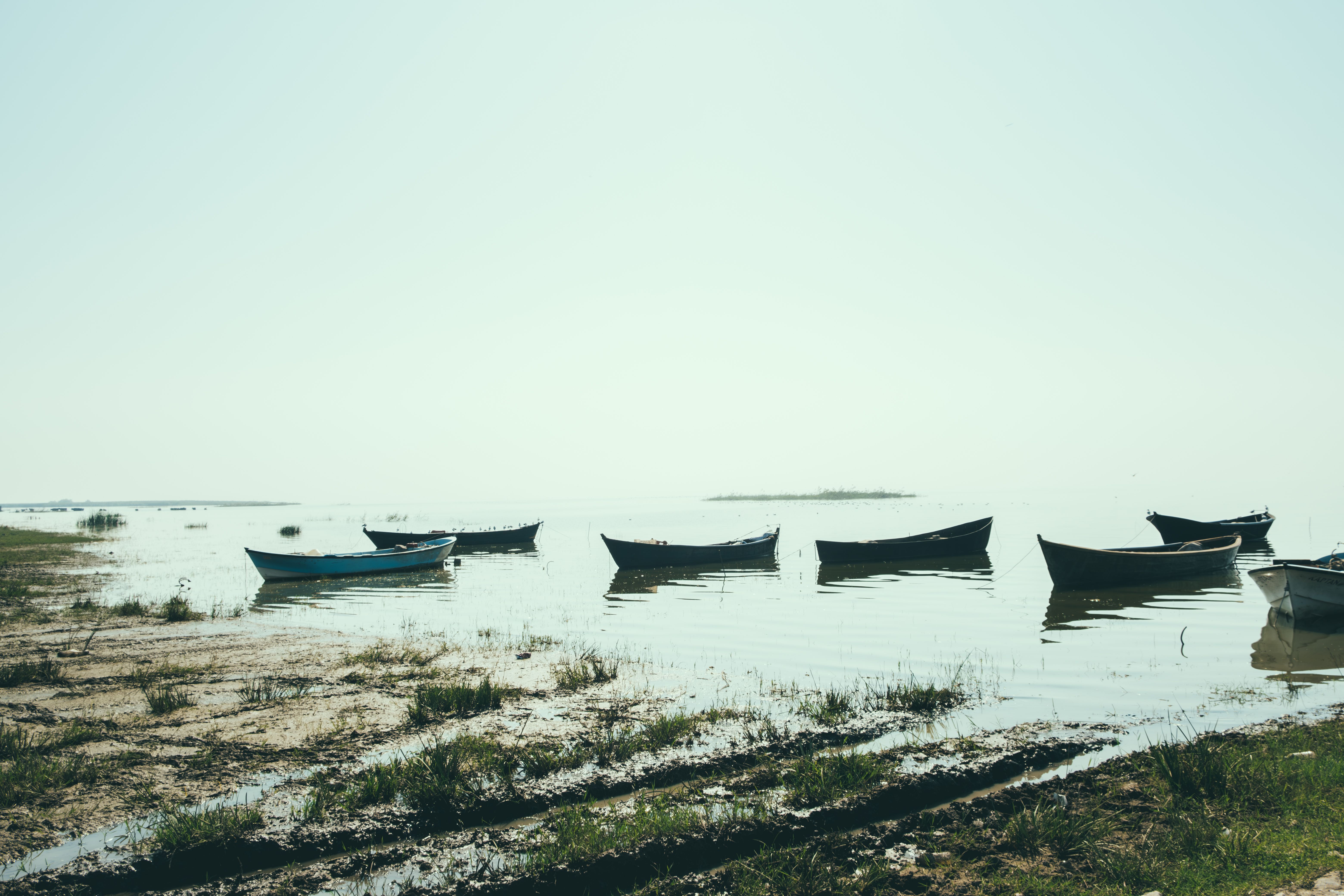 6240x4160 Chilika Lake Photo, Download The BEST Free Chilika Lake & HD Image