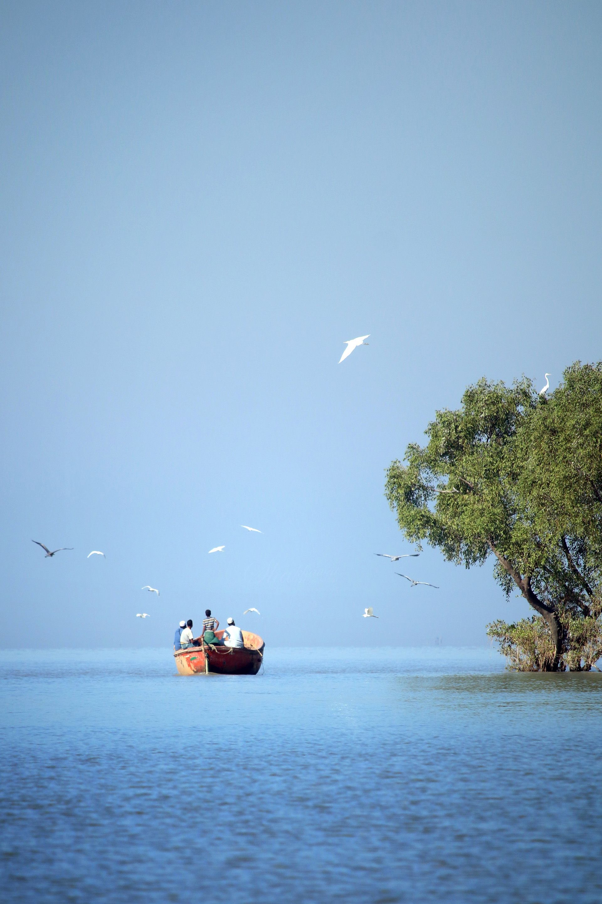 1920x2880 Chilika Lake Photo, Download The BEST Free Chilika Lake & HD Image