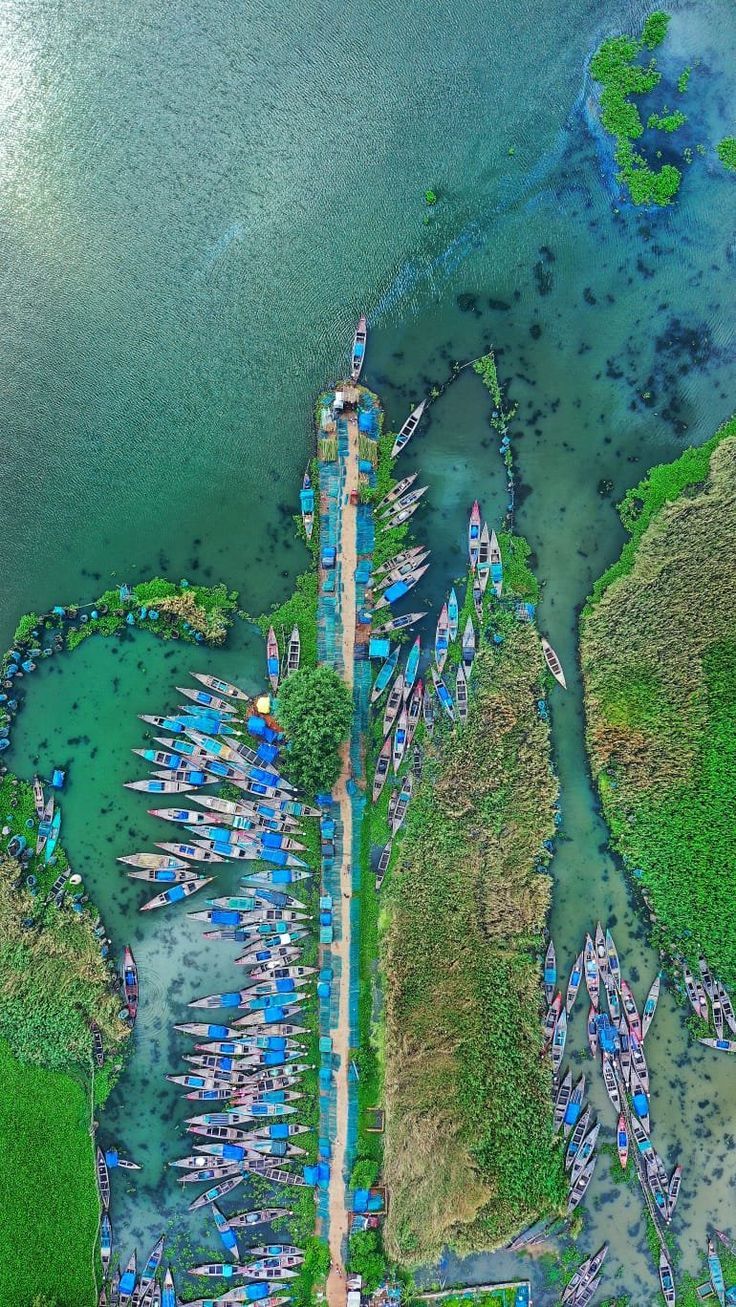736x1307 Picture Of Chilika Lake That'll Make You Fall In Love With It