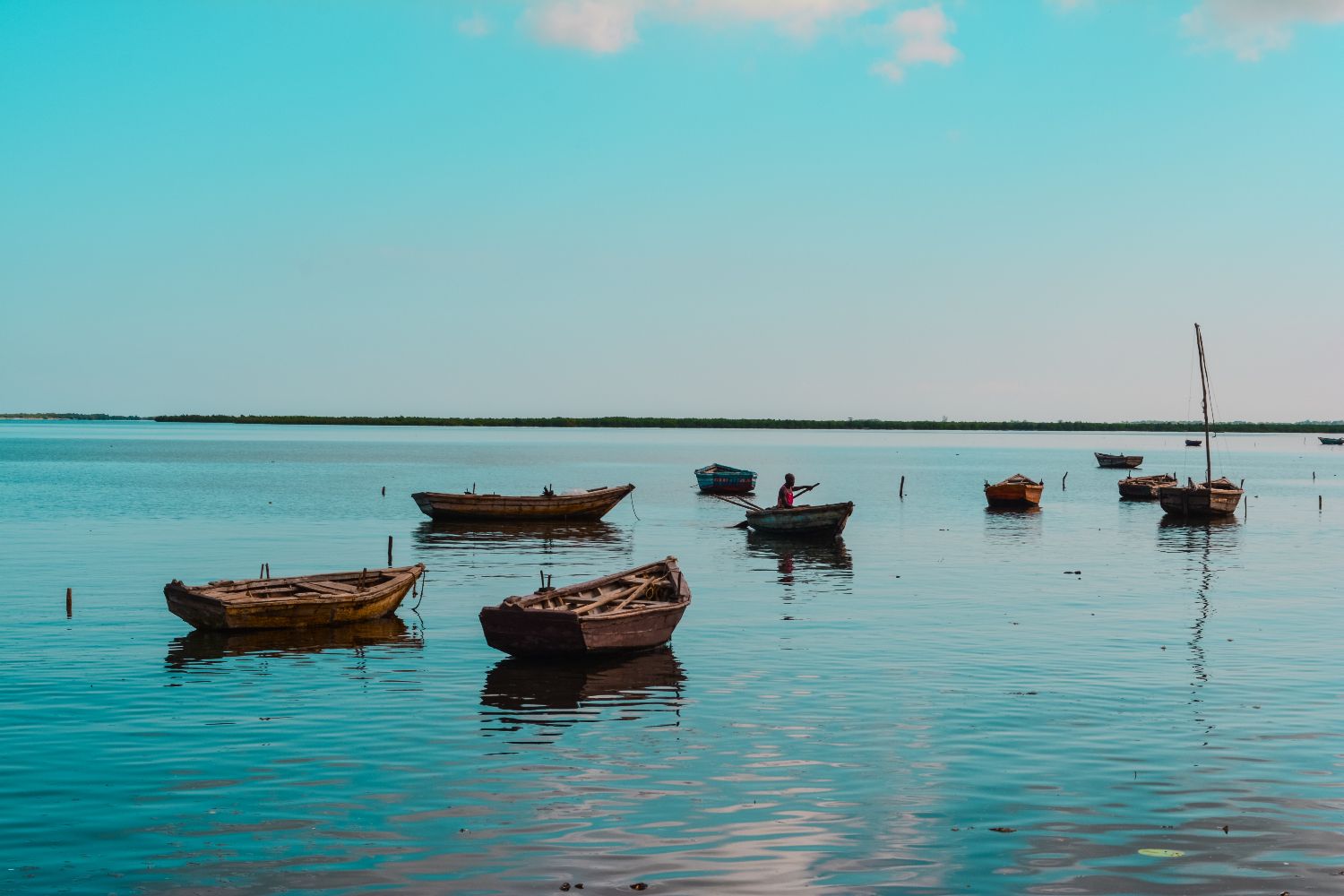 1500x1000 Plan Your Perfect Trip to Chilika Lake