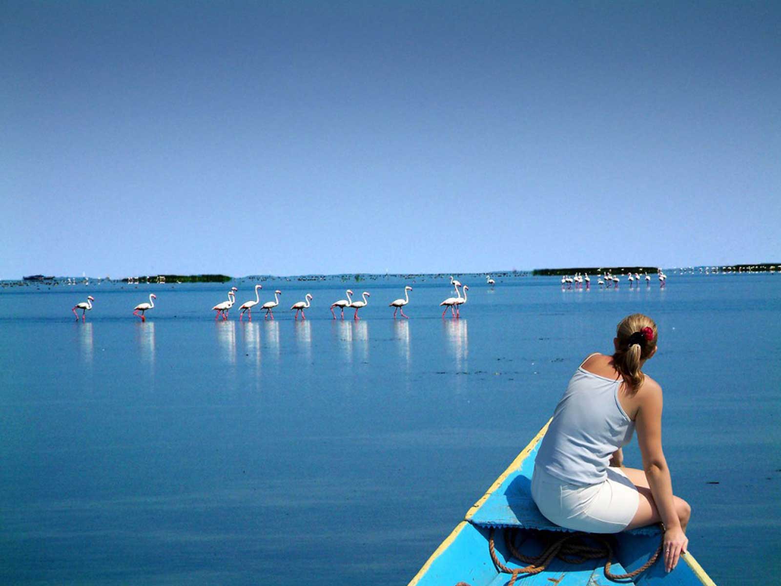 1600x1200 Chilika Lake