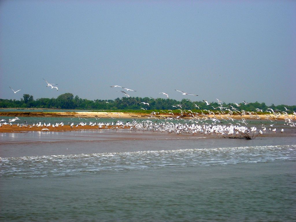 1024x768 Chilika Lake Odisha