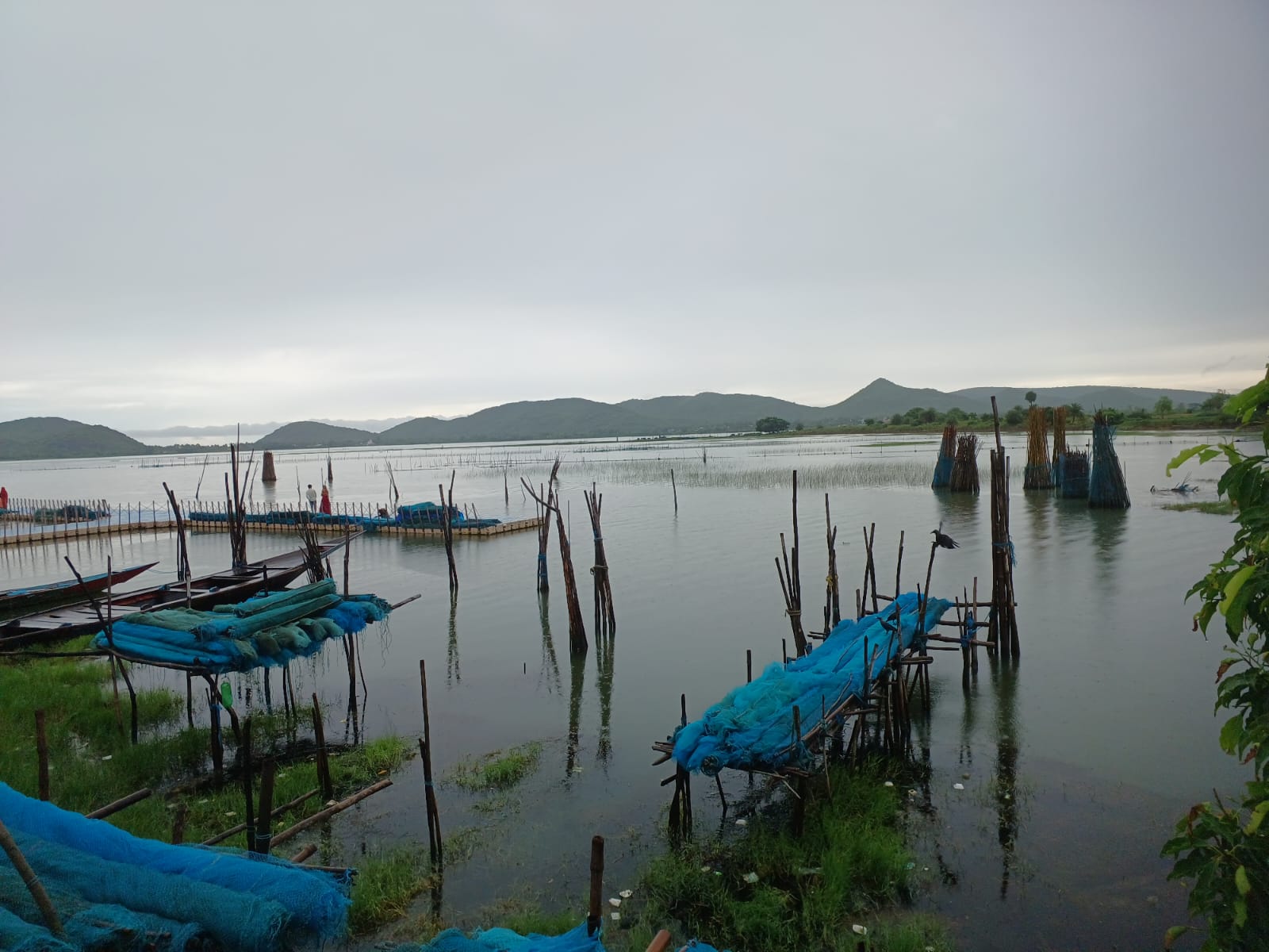 1600x1200 Chilika Lake: Here