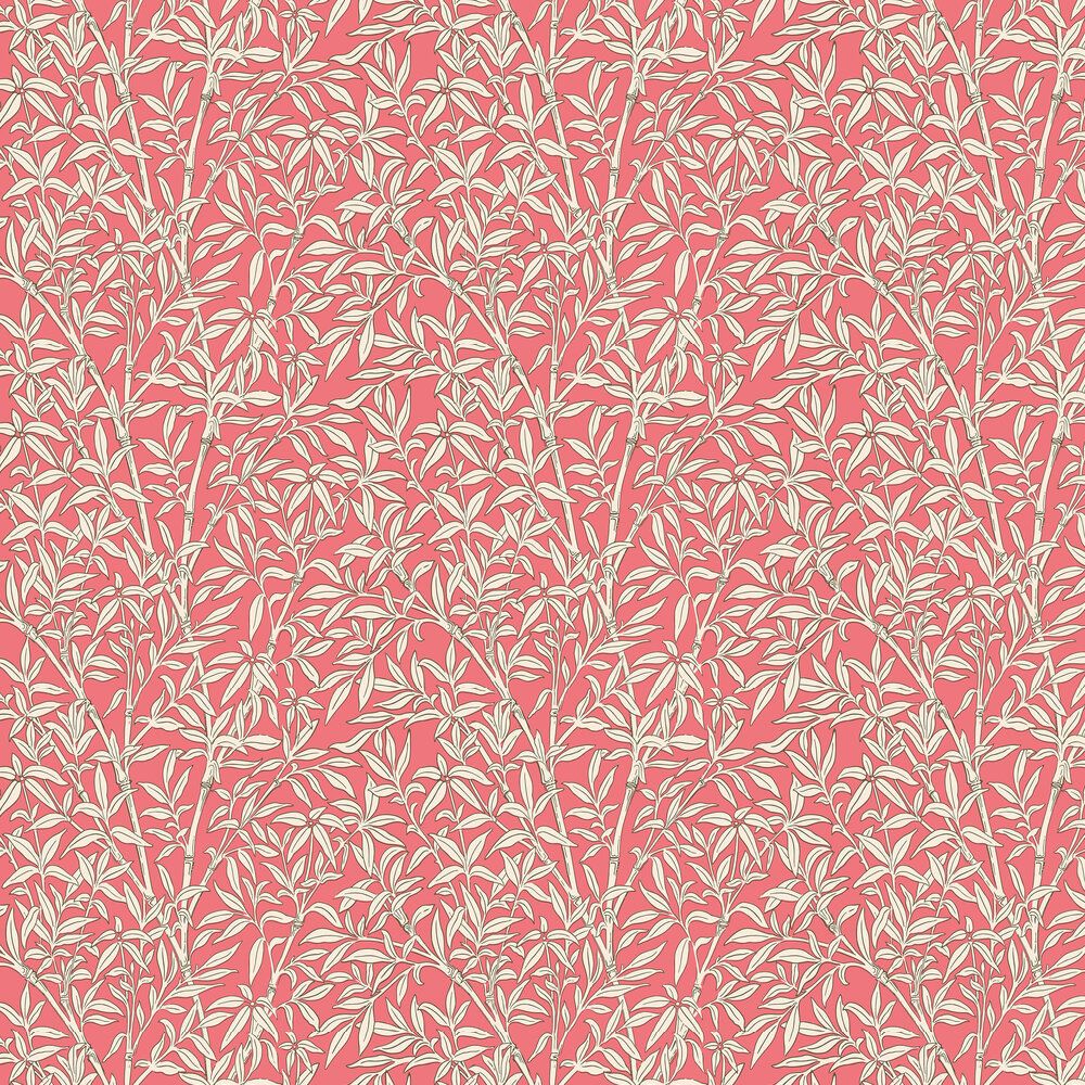 1000x1000 Bamboo Forest by Cole & Son on rouge : Wallpaper Direct