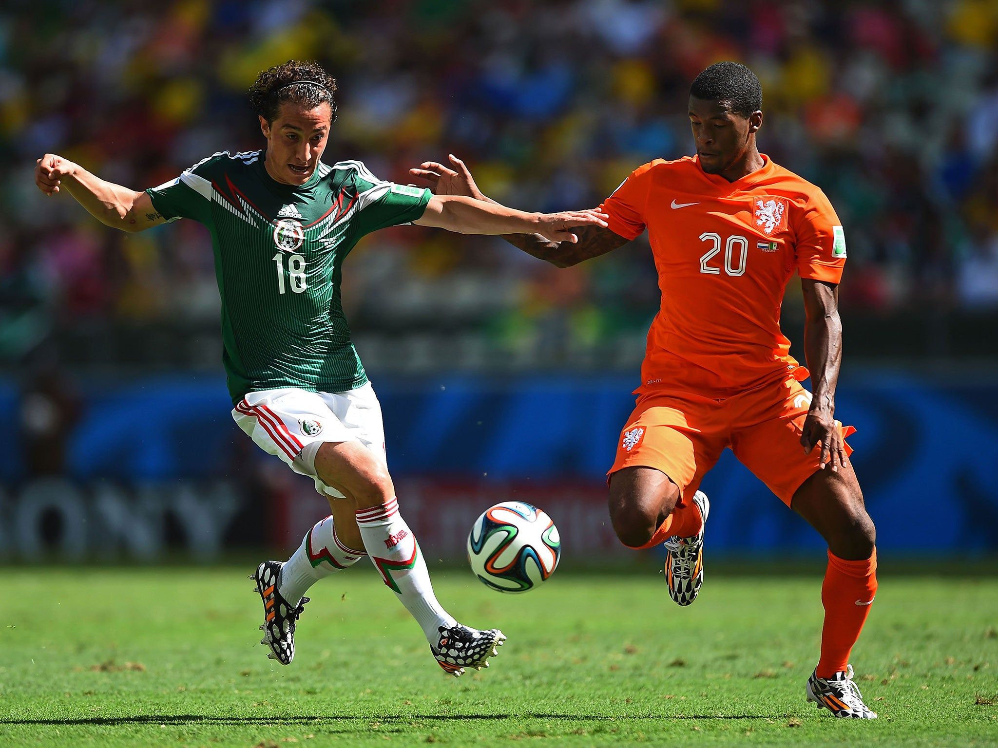 2048x1536 Manchester United transfer news: PSV midfielder Georginio Wijnaldum wants to link up with Louis van Gaal again