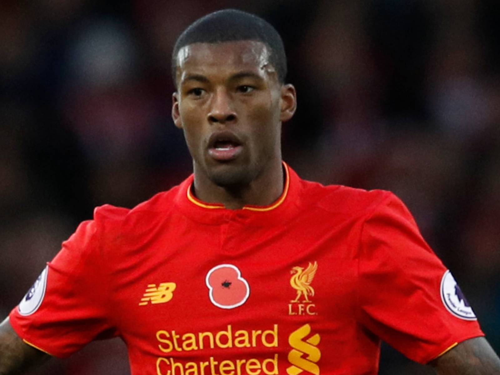 1600x1200 Exclusive: Former Liverpool and Newcastle Star Georginio Wijnaldum to Make Saudi Move