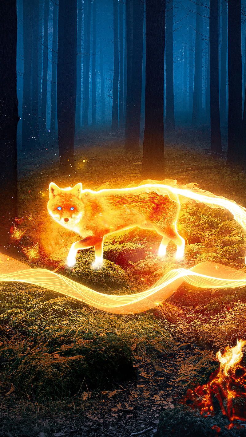 800x1422 HD firefox fox wallpaper