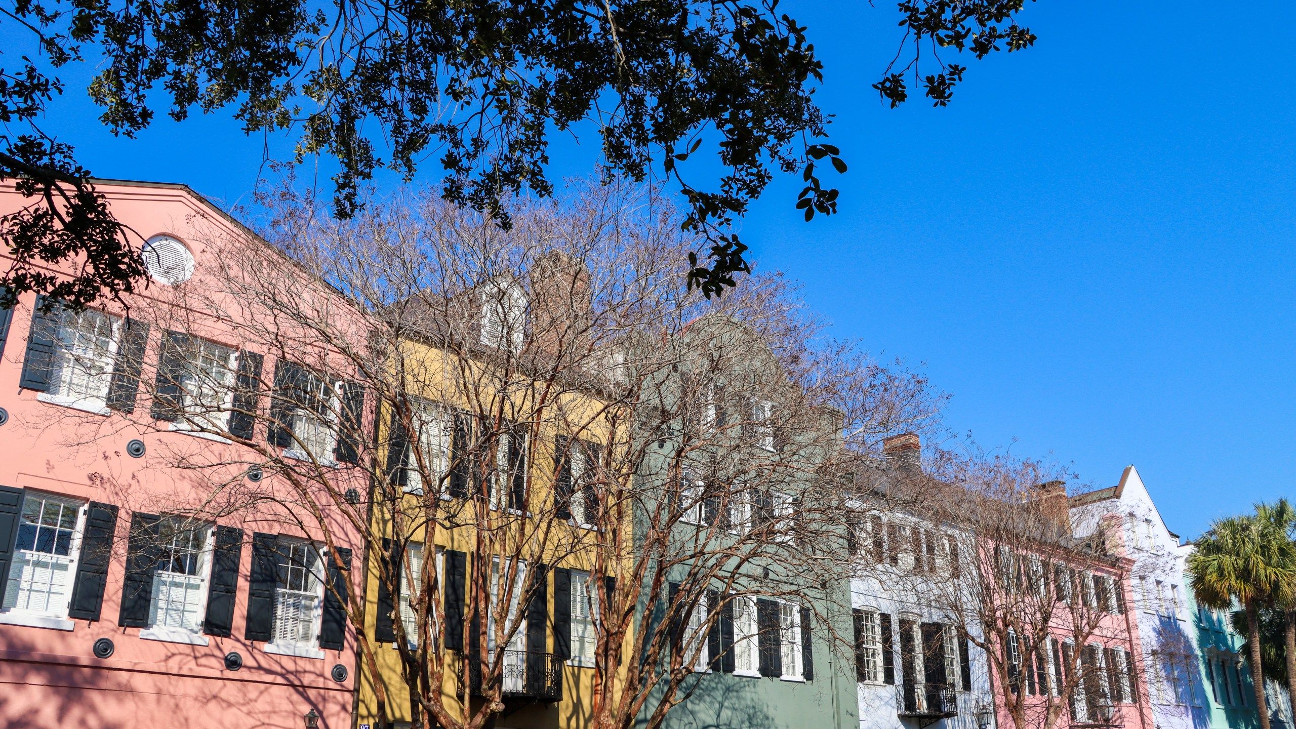 2560x1440 March into Spring: The best festivals, live music, & events this month. WCBD News 2