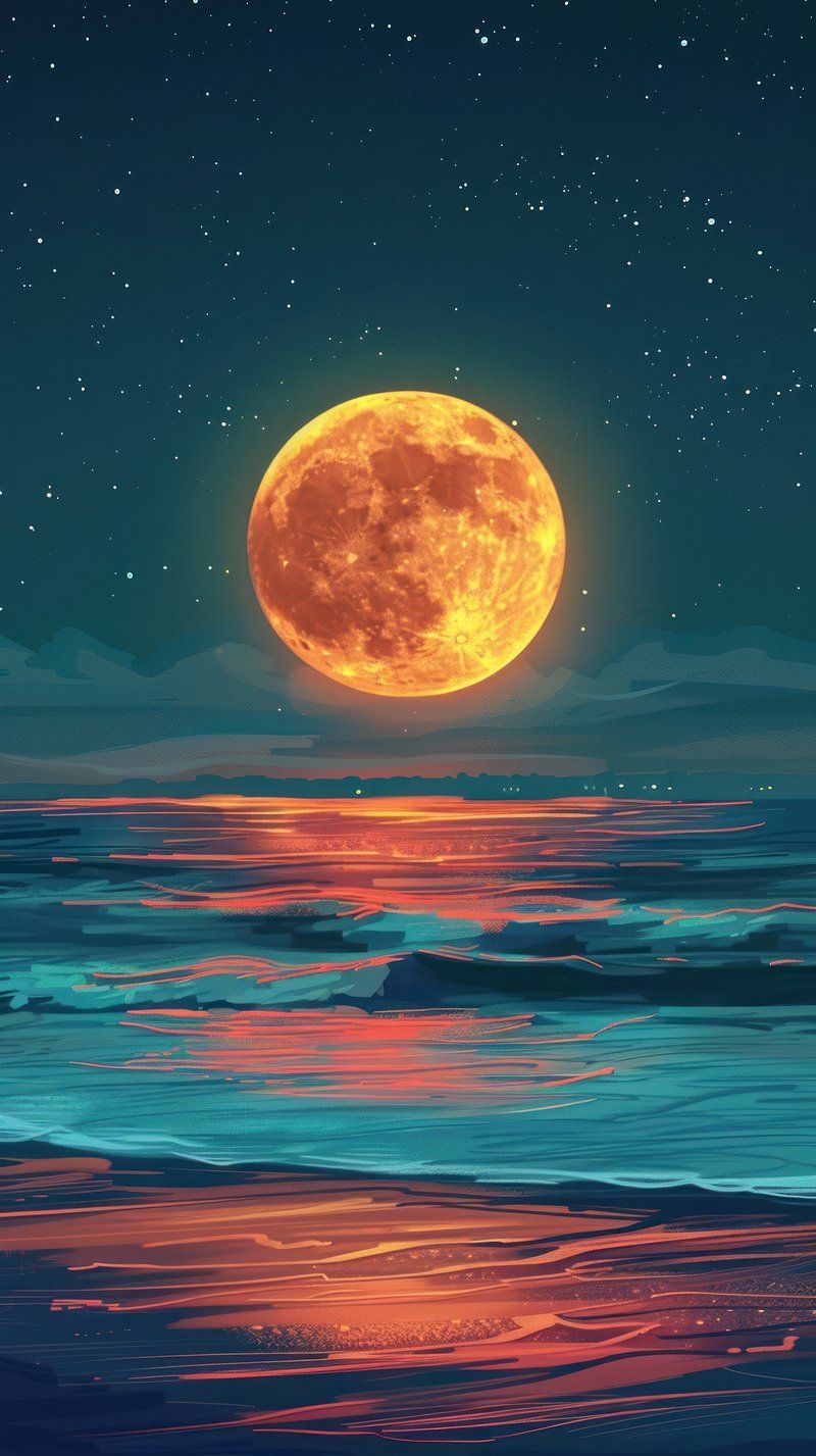 800x1427 Sunset Wallpaper Phone Wallpaper