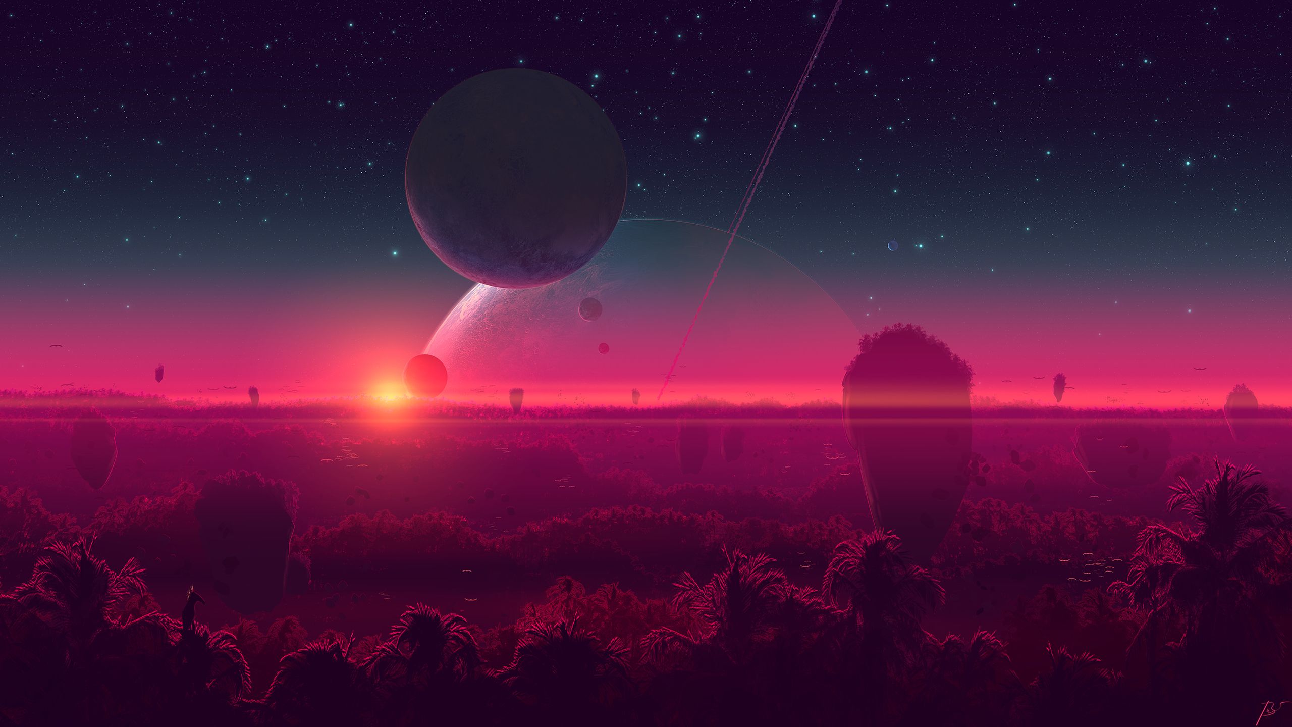 2560x1440 Sunset, Sky, Stars, Forest, Planet, View (2560x1440) & Mobile Wallpaper
