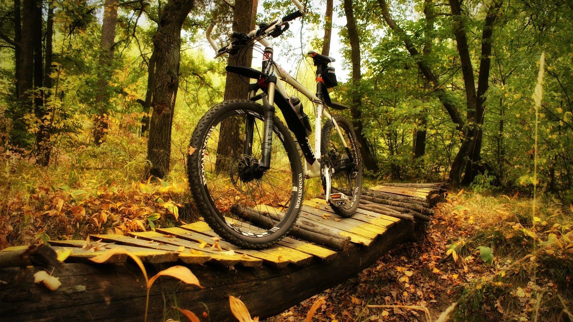 1920x1080 bicycle, Nature Wallpaper HD / Desktop and Mobile Background