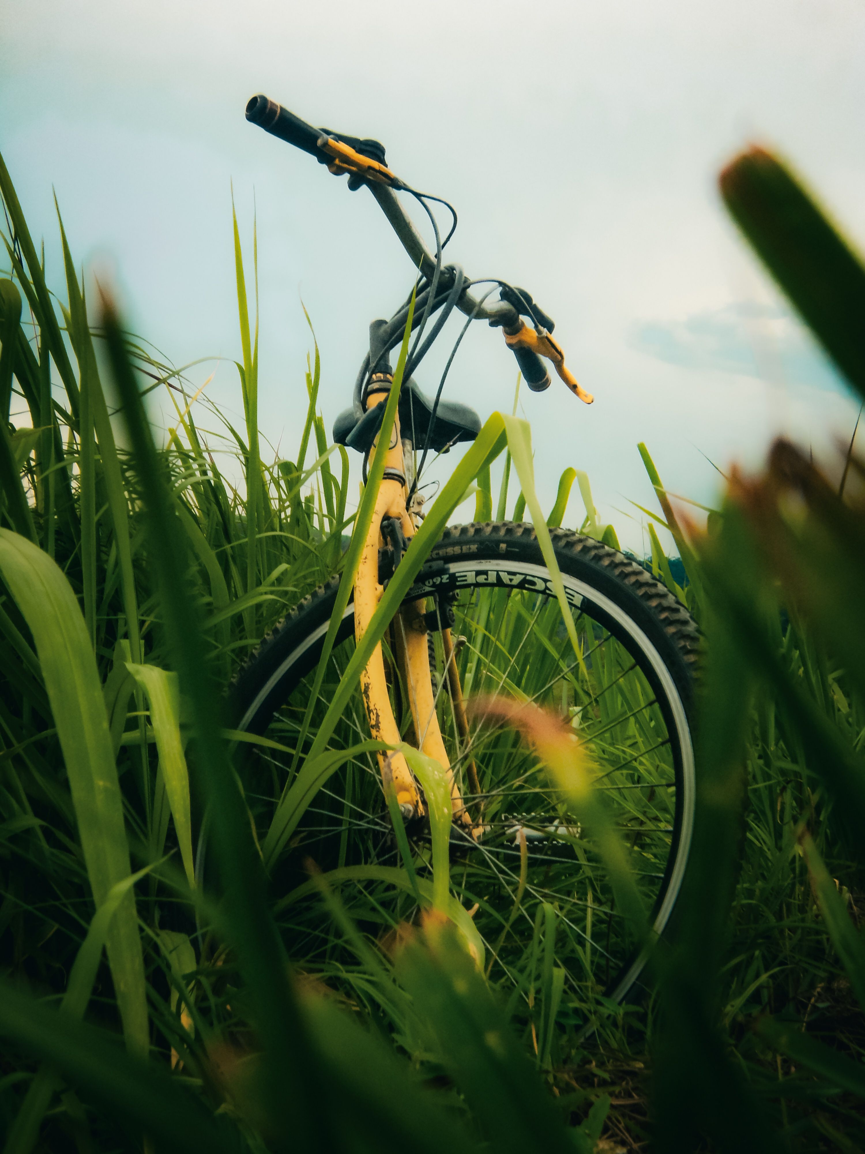 3000x4000 Yellow Mountain Bike in Vibrant Green Grass · Free