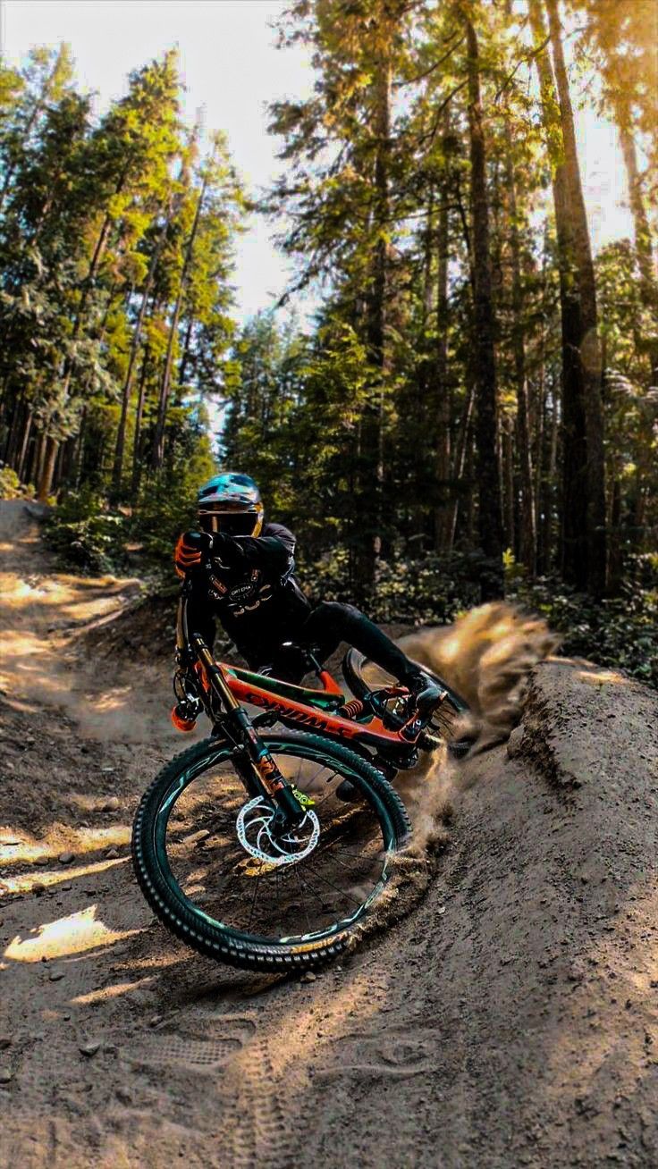 736x1308 Mountain biking in nature. Mountain bike on street, Mountain bike in nature, Mountain biking photography