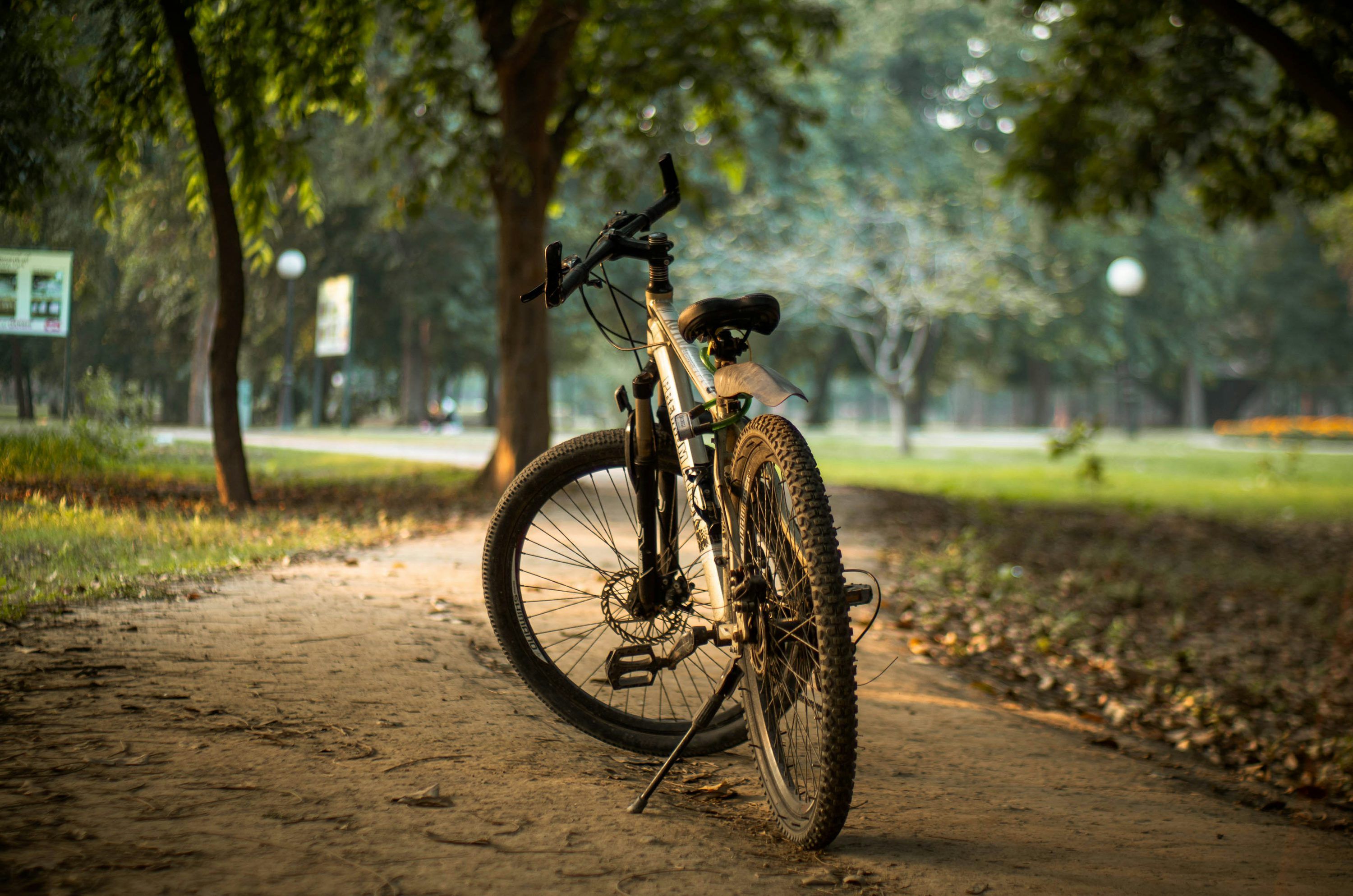 3000x1987 Bikes are parked in a lush, green forest