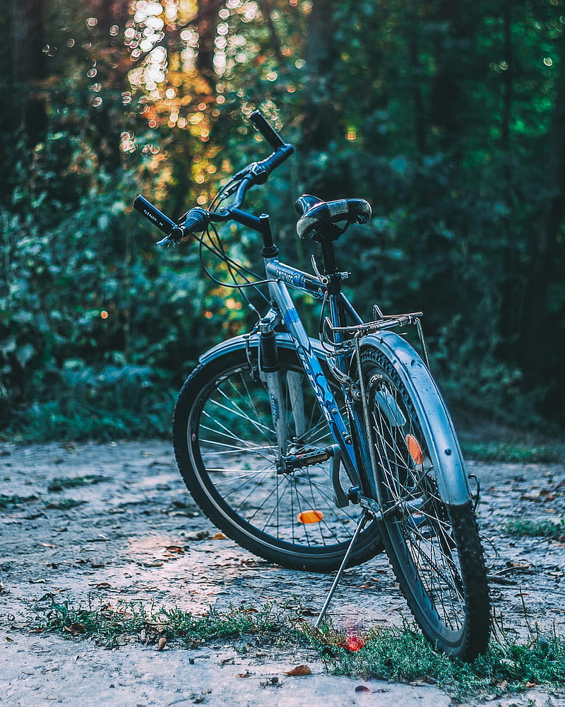 800x1000 Nature cycle, bicycle, mountain, natural, graphy, racing, road, specialized, HD phone wallpaper
