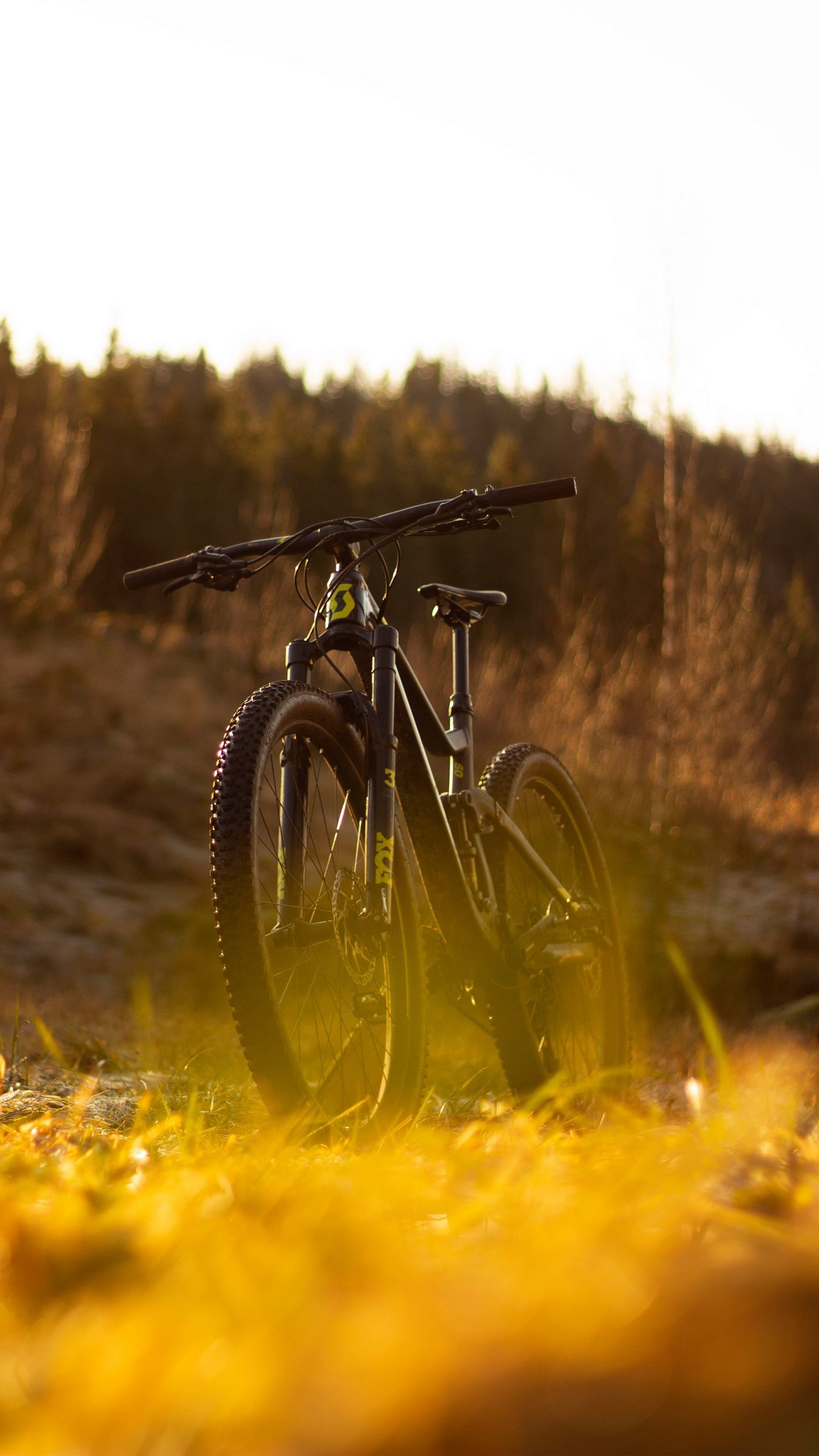 1350x2400 Download wallpaper 1350x2400 bike, mtb, black, nature iphone 8+/7+/6s+/for parallax HD background