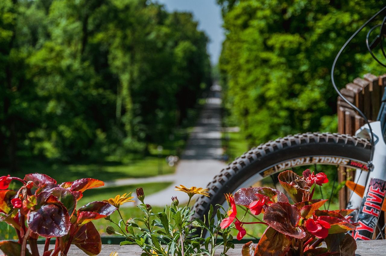 1280x850 Bike Nature Flowers