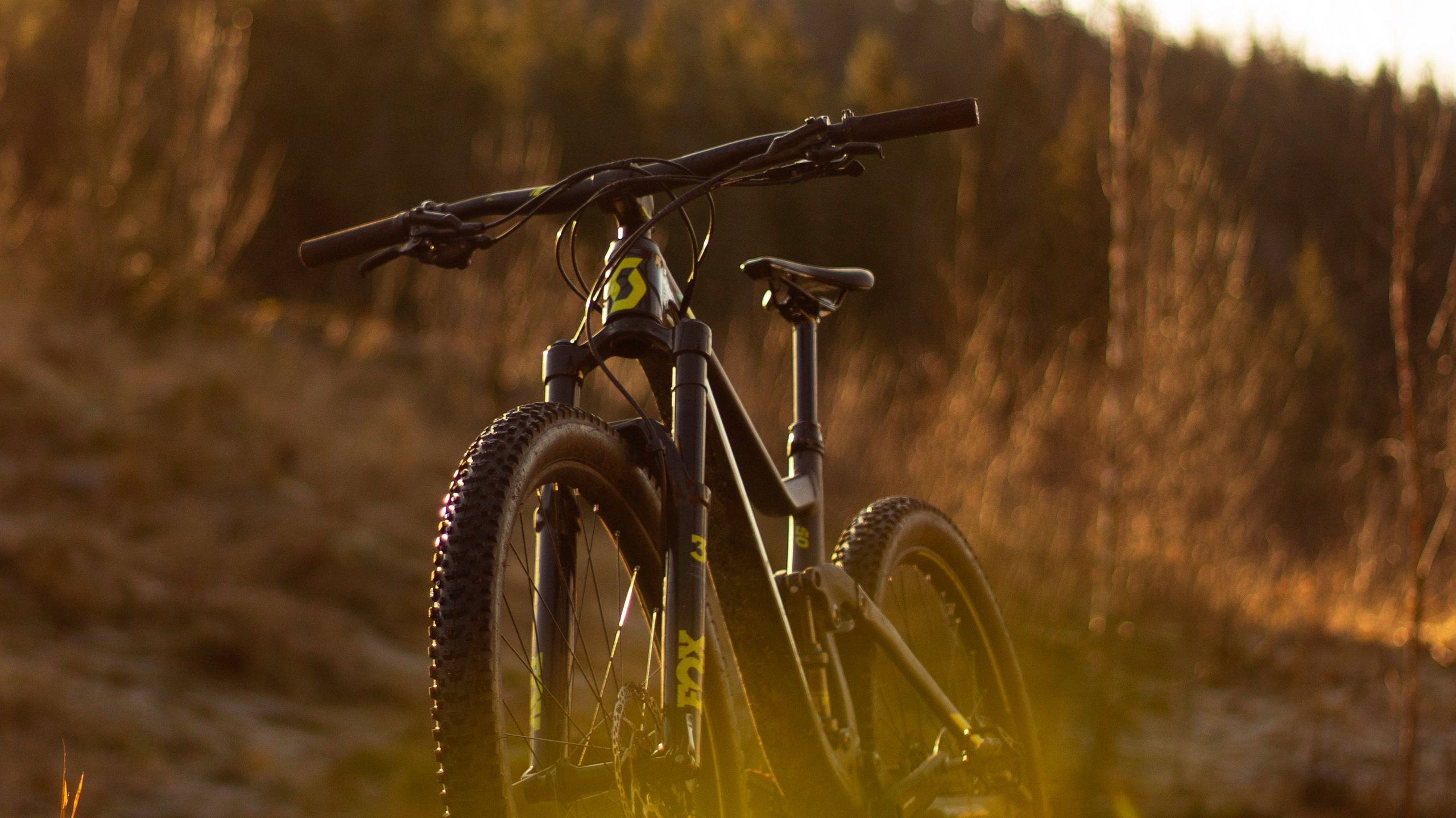 2560x1440 Download wallpaper 2560x1440 bike, mtb, black, nature widescreen 16:9 HD background