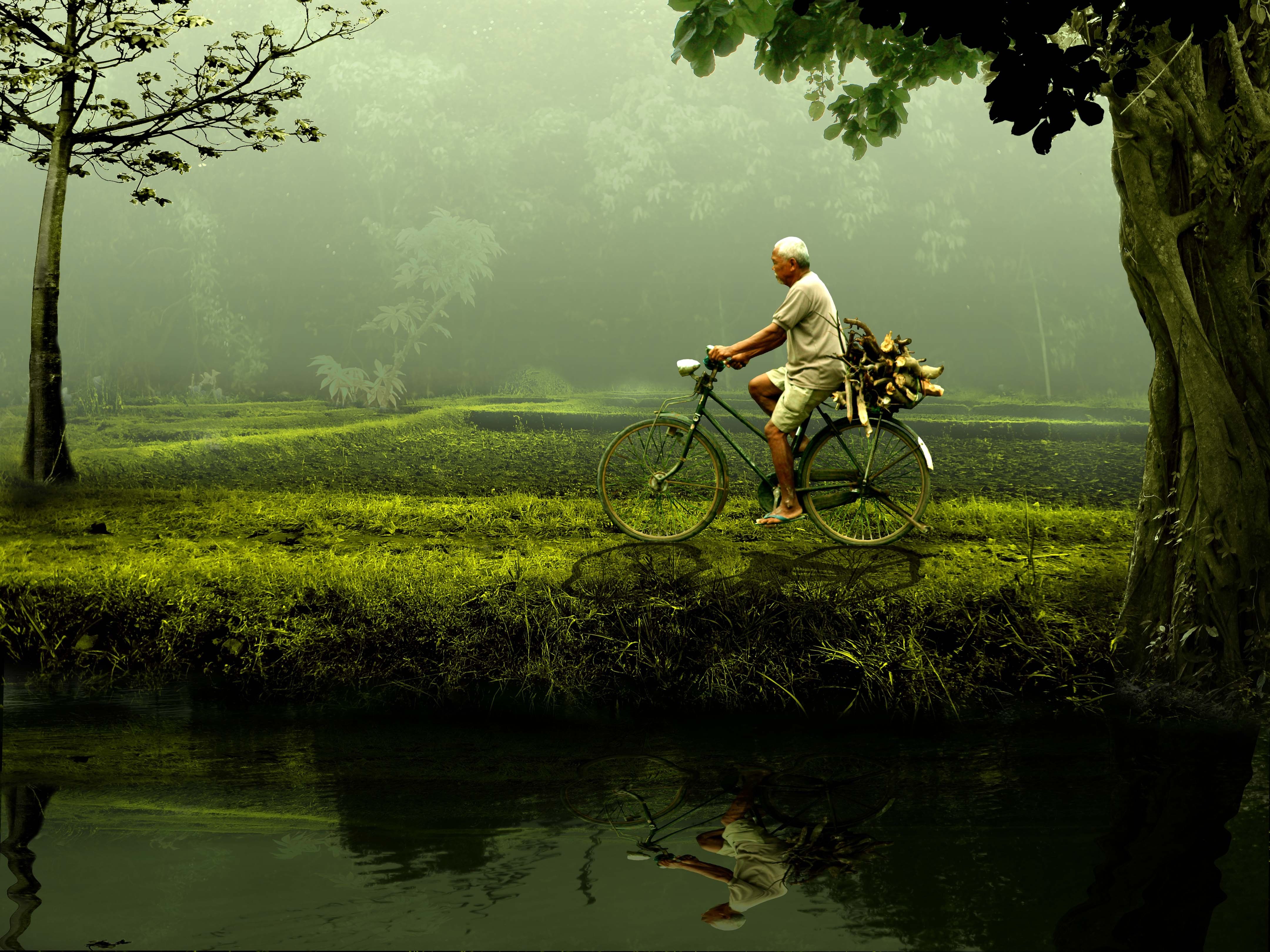 4320x3240 Download Water Green Reflection Bicycle Photography Men 4k Ultra HD Wallpaperx3240