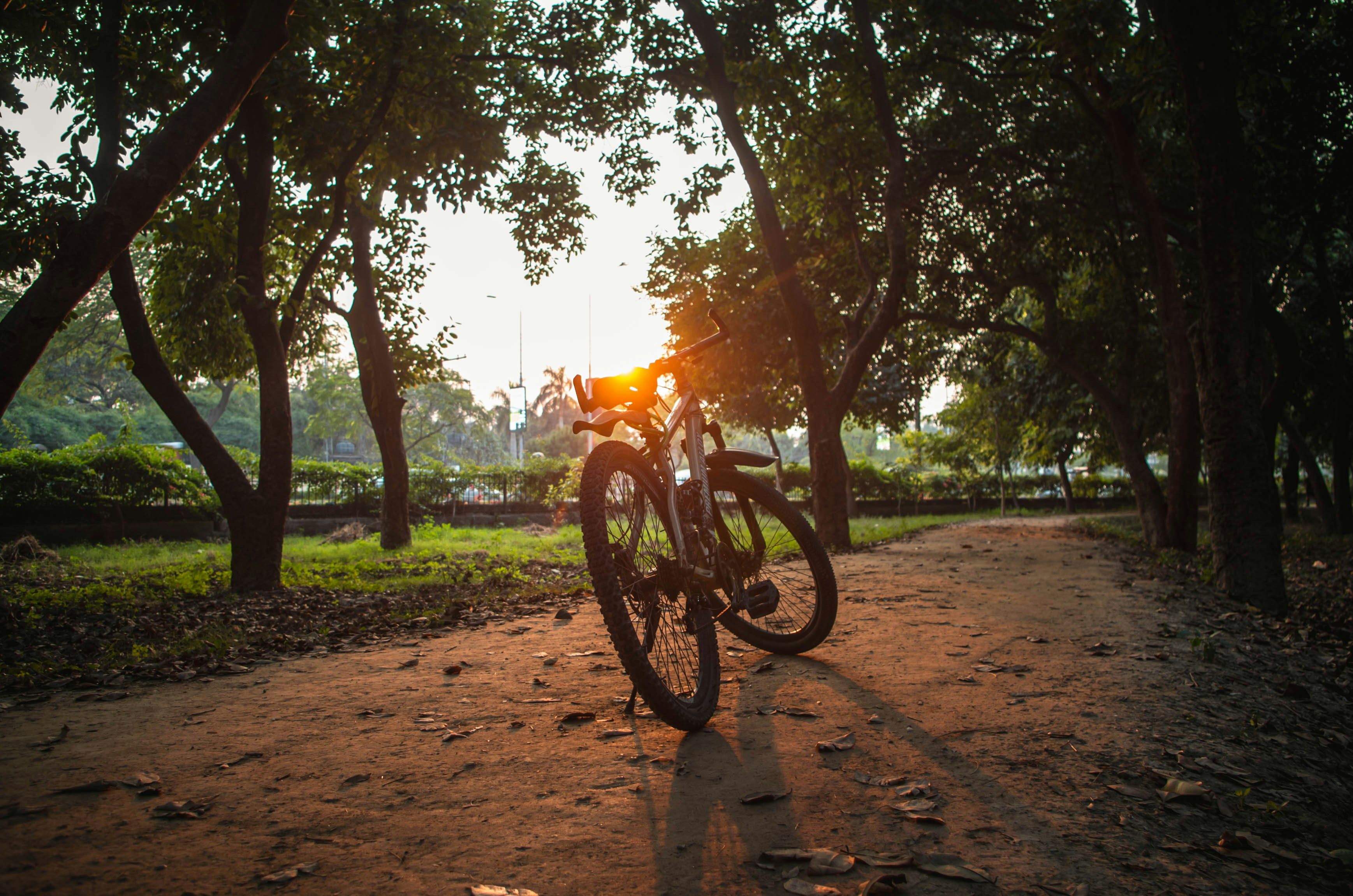 3475x2302 Parked blue and black mountain bike near green plants during daytime