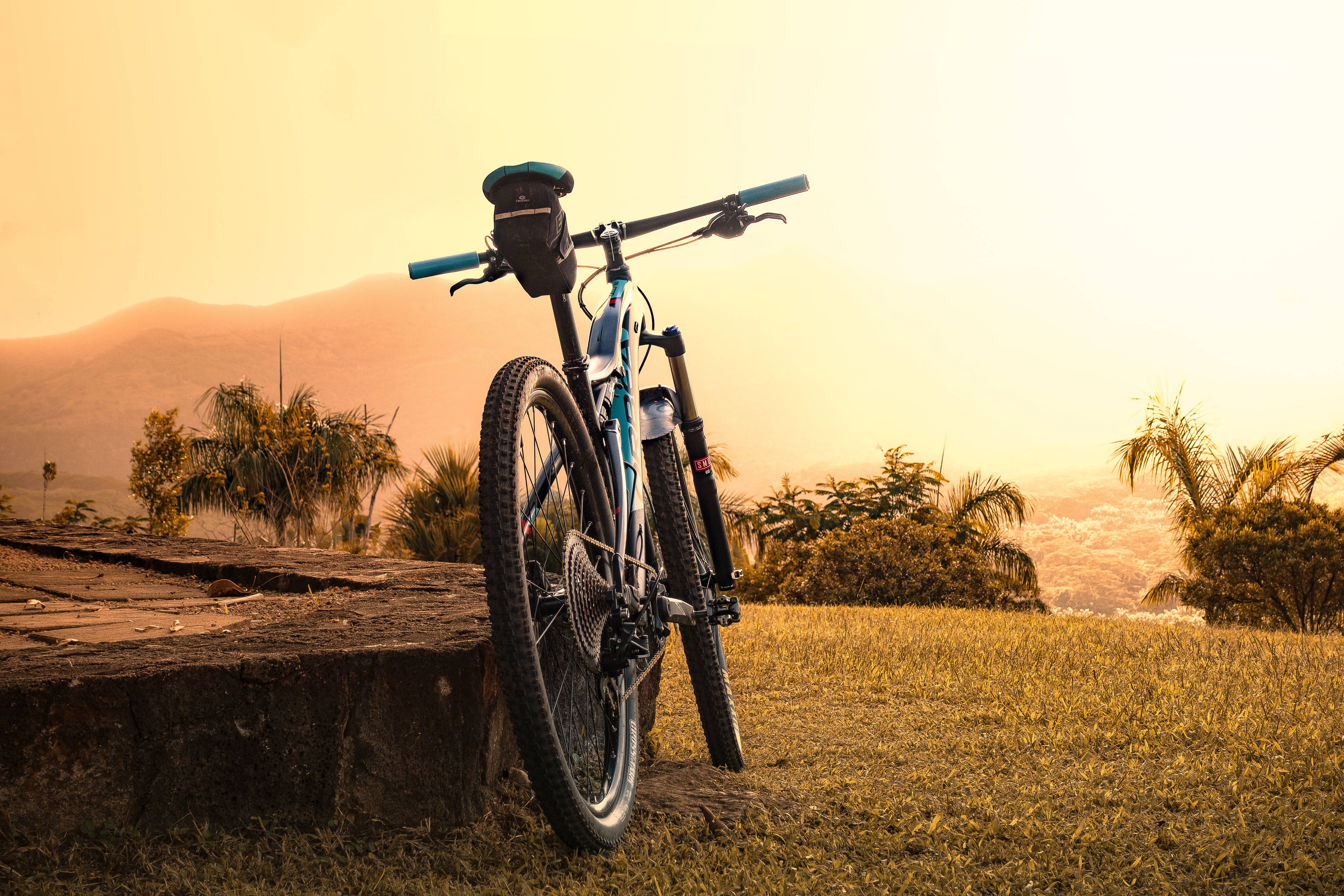 5472x3648 Download Enjoying the freedom of nature Wallpaper