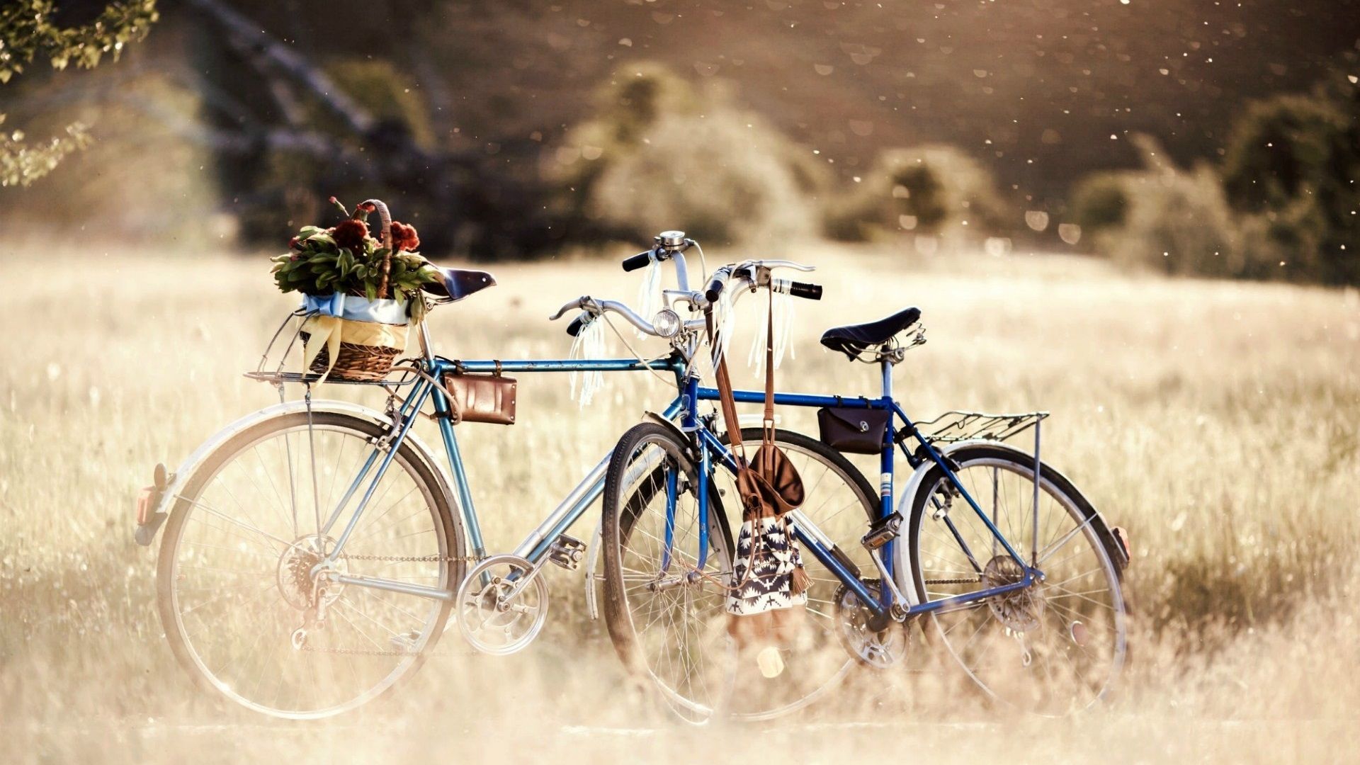 1920x1080 Bike In The Nature 640x1136 IPhone 5 5S 5C SE Wallpaper, Background, Picture, Image
