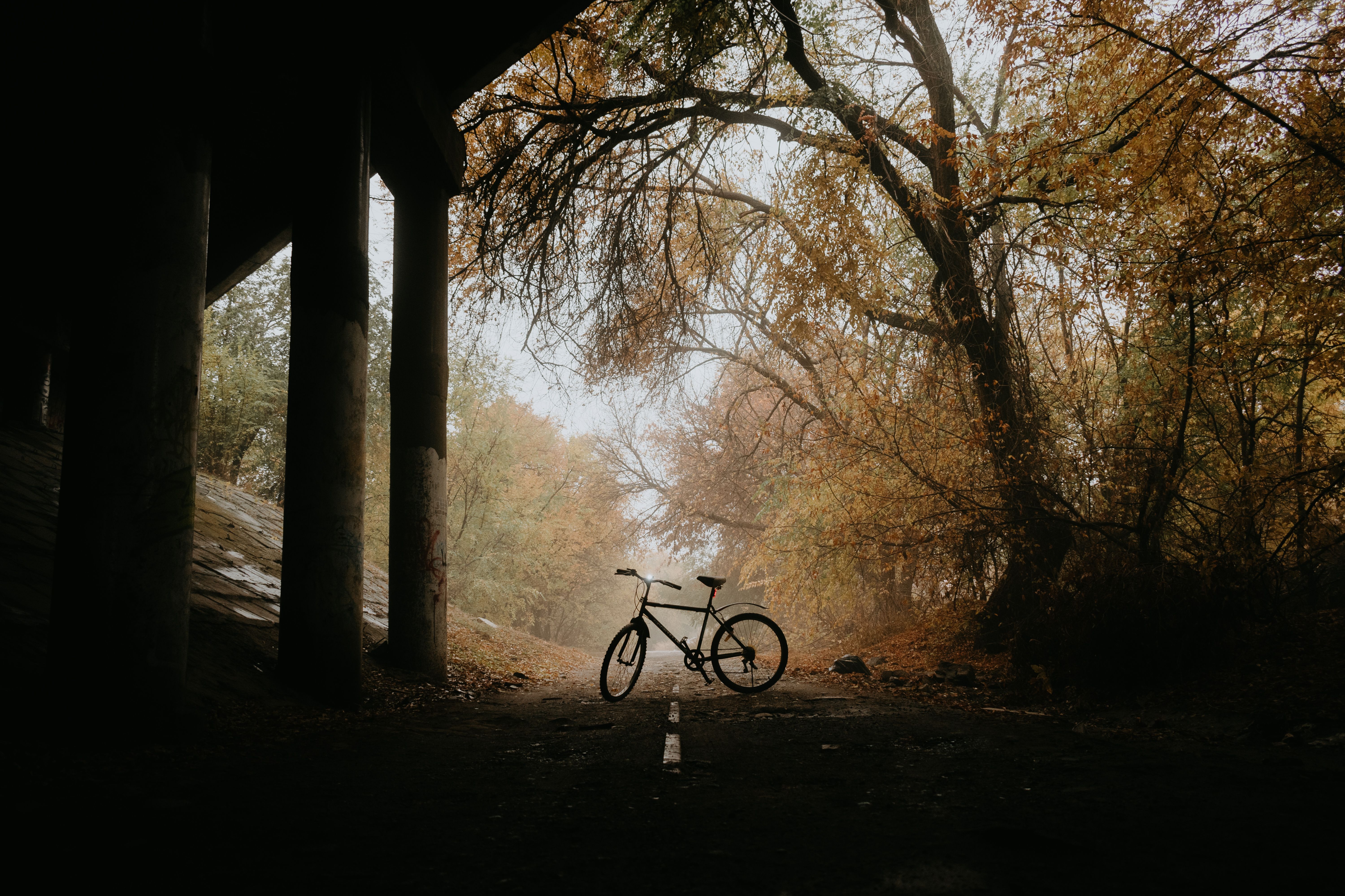 6000x4000 Bicycle on a Road in Autumn · Free