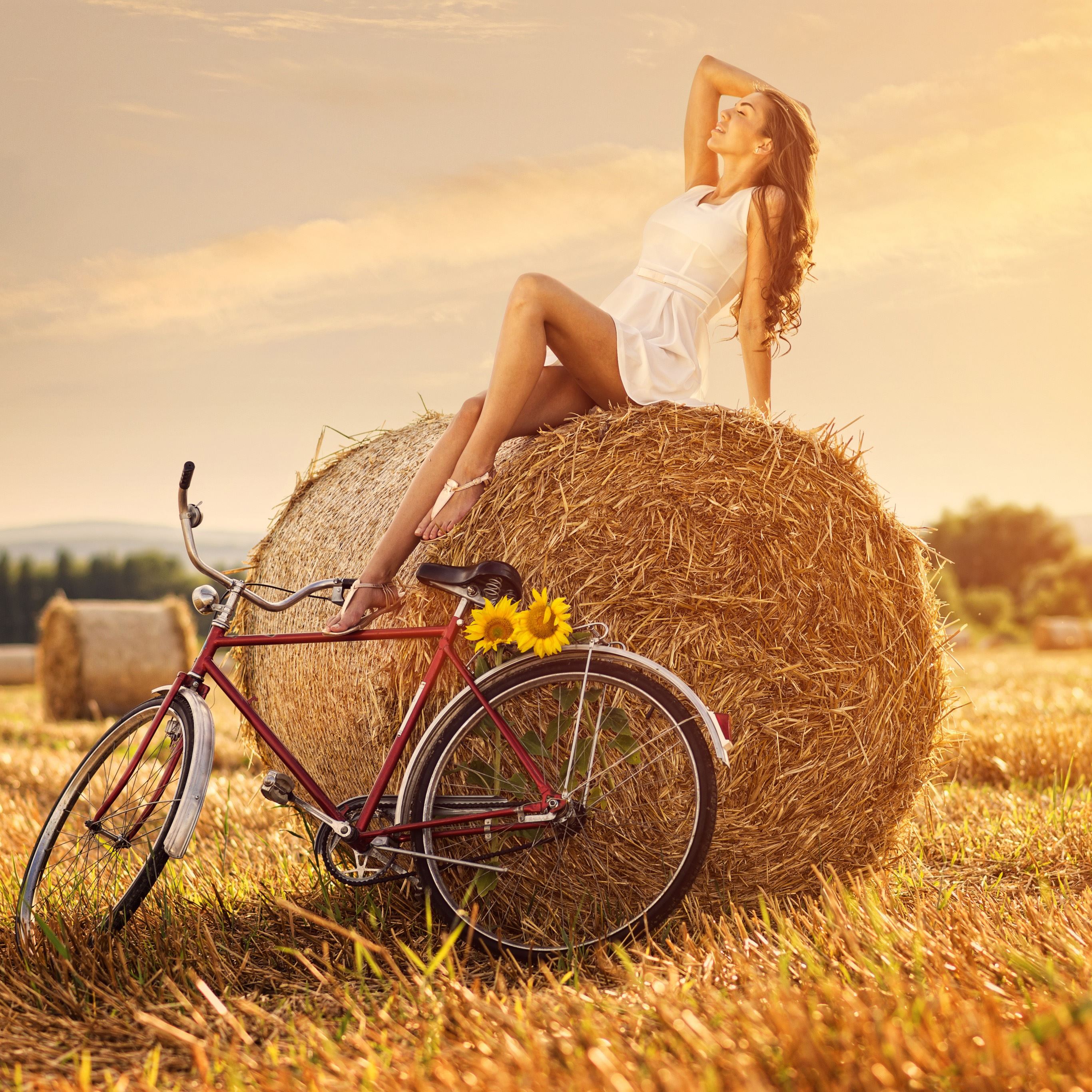 2732x2732 Best Bike iPad Pro HD Wallpaper